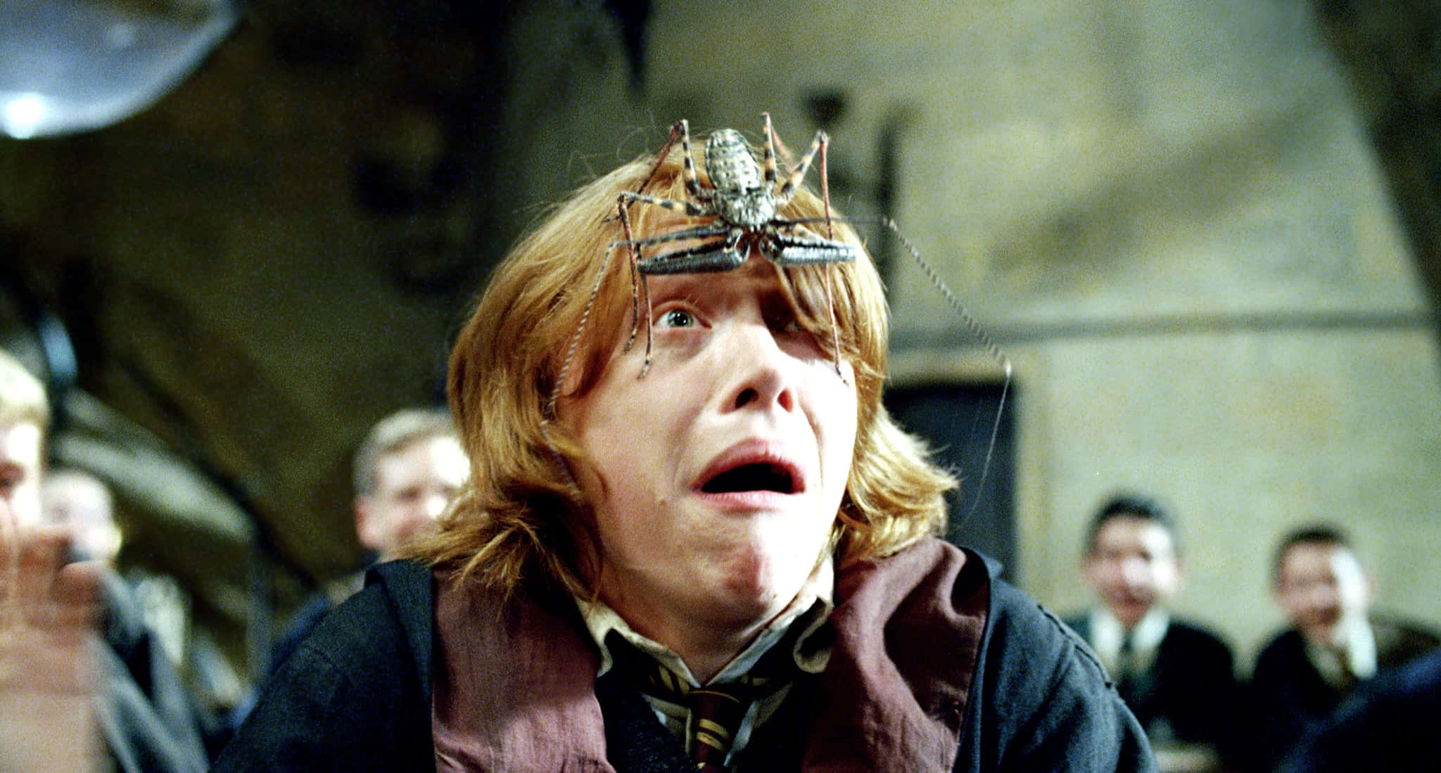 Ron Weasley 桌布 壁紙 — 一個驚恐的紅髮年輕男子，額頭上有一隻大蜘蛛，身處昏暗的石室中。