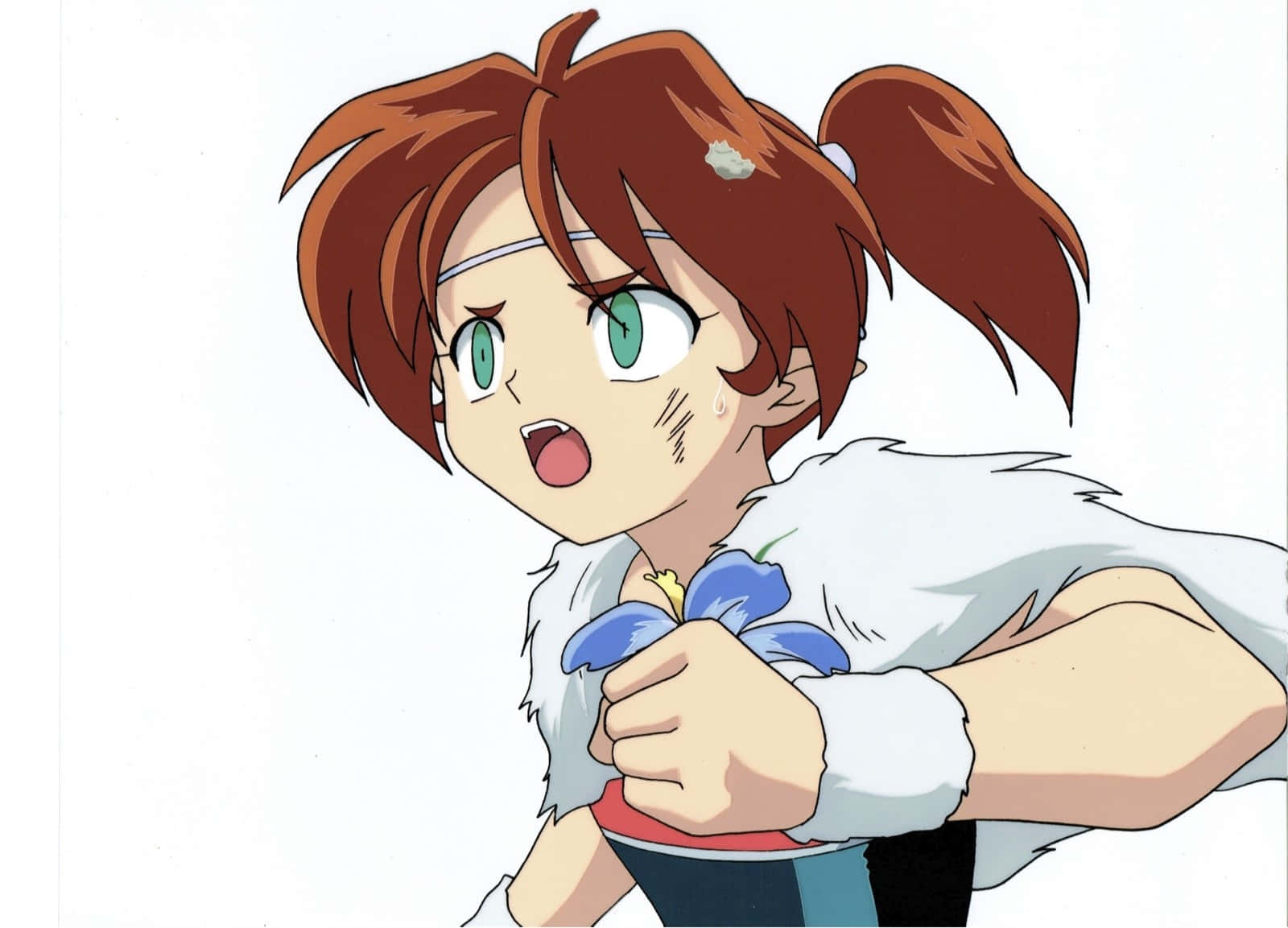 Inuyasha Ayame 桌布 壁紙 — 一個驚訝的動漫女孩，棕色雙馬尾，綠色眼睛，緊緊握著一朵藍色的花，背景是純白色。