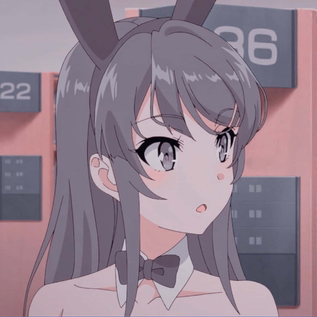 動漫頭像 桌布 壁紙 — 一個驚訝的動漫女孩，灰色頭髮和兔耳，戴著蝴蝶結，背景是帶有數字標誌的粉紅色牆壁。