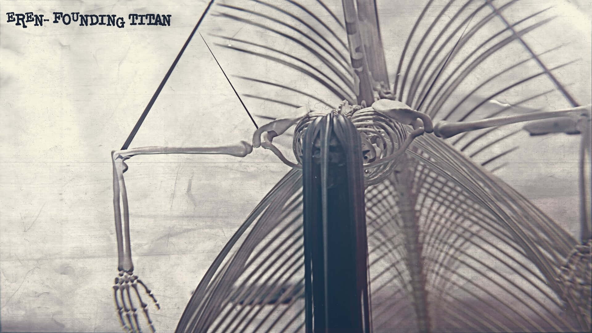 Founding Titan 桌布 壁紙 — 一個骨骼巨人形象，四肢和肋骨拉長，站在有紋理的背景前，上面寫著 'EREN-FOUNDING TITAN'。