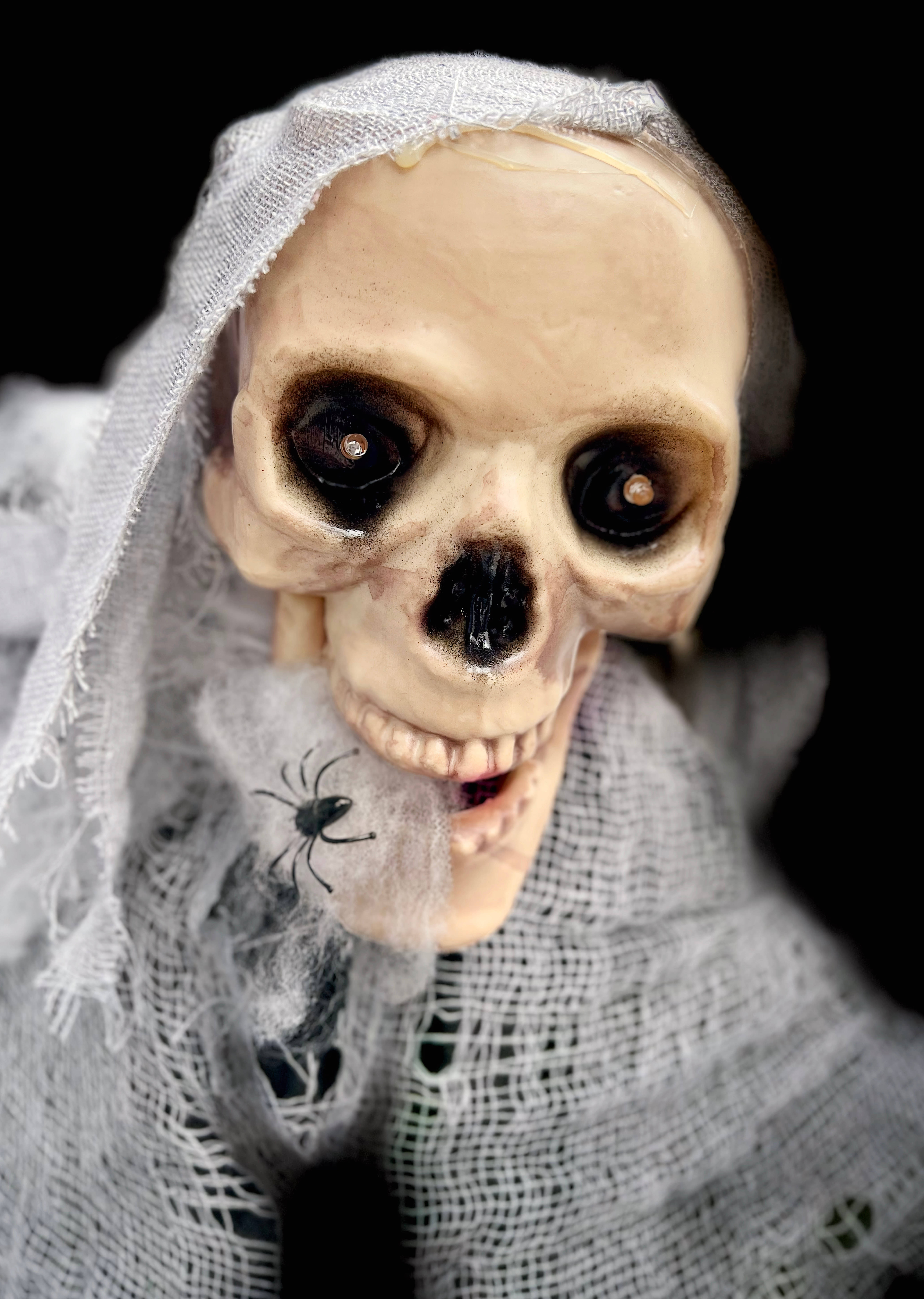 skulls 桌布 壁紙 — 一個骷髏形狀的特寫，披著破爛的白色布料，一隻蜘蛛在它的嘴邊爬行，背景是黑色。