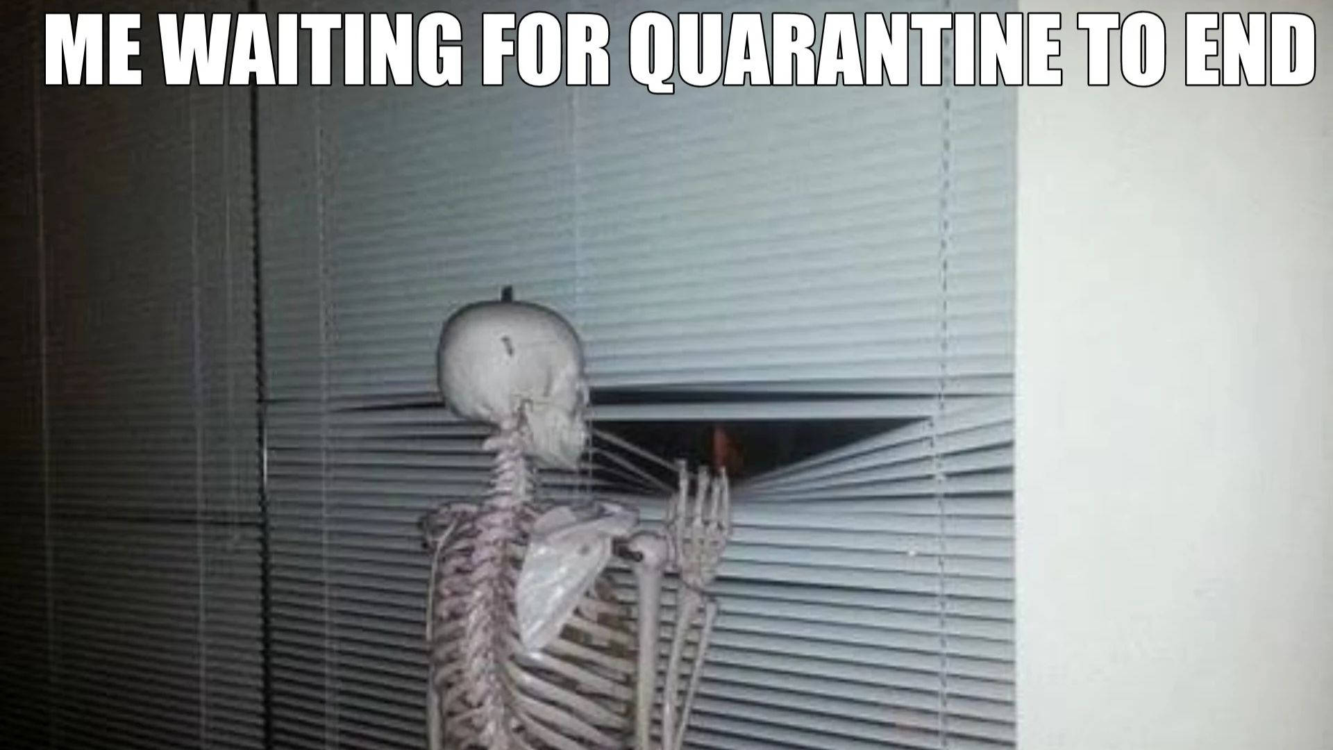 Skeleton Meme 桌布 壁紙 — 一個骷髏頭透過半開的百葉窗在昏暗的房間中窺視，幽默地配上等待隔離結束的文字。