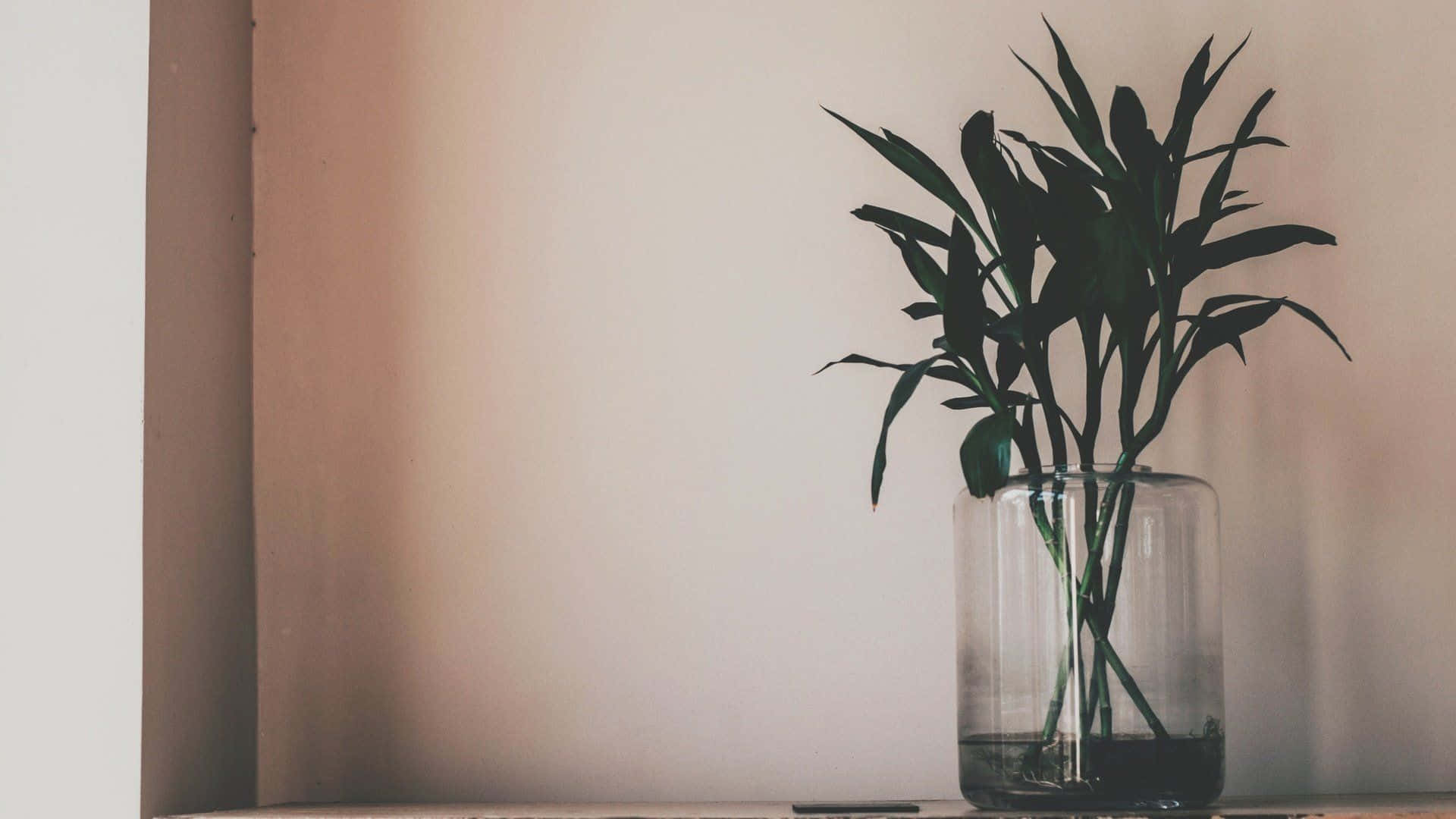 Plant Aesthetic 桌布 壁紙 — 一個高大的玻璃花瓶，裡面插著綠色竹枝，放在木架上，背景是柔和的米色牆壁。