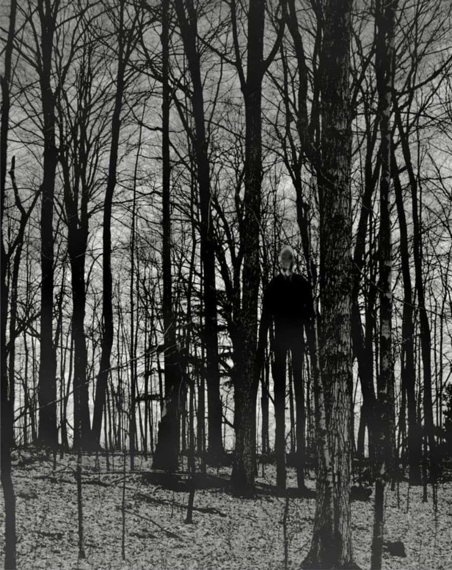 Creepypasta 桌布 壁紙 — 一個高大纖細、面無表情的身影，詭異地佇立在單色森林中光禿的冬季樹木之間。