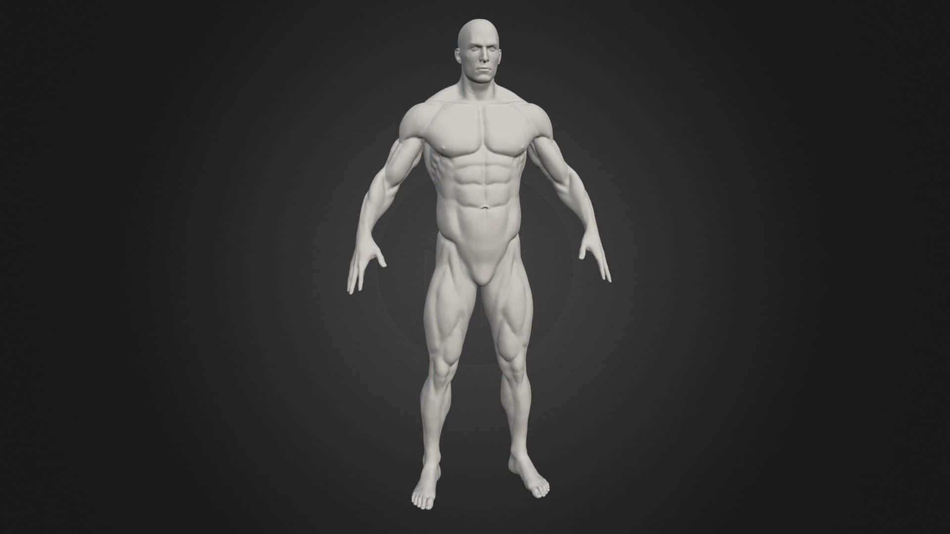 3d Modeling 桌布 壁紙 — 一個高度詳細的3D渲染男性人物，具有明確的肌肉線條，站在深色漸變背景中央。