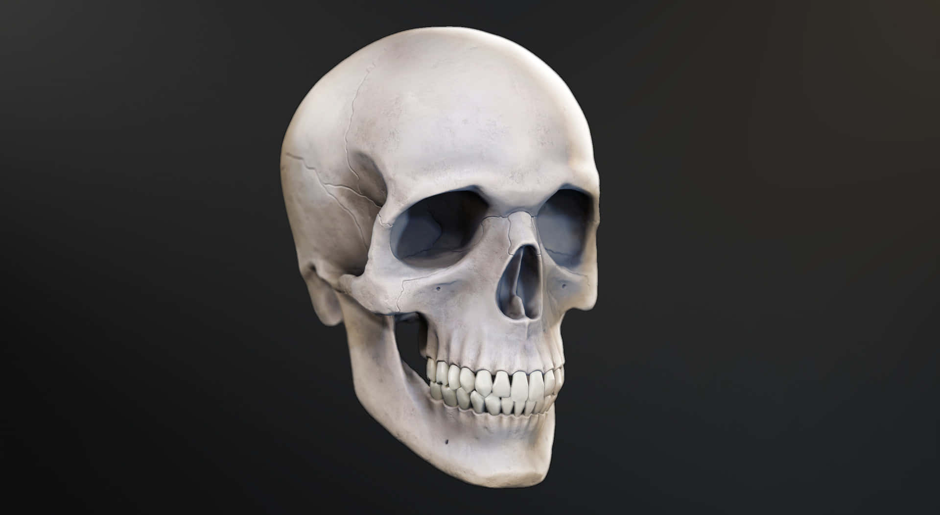 3d Skull 桌布 壁紙 — 一個高度詳細的人類頭骨，以逼真的3D渲染，帶有微妙的裂縫和陰影，背景為深色漸變。