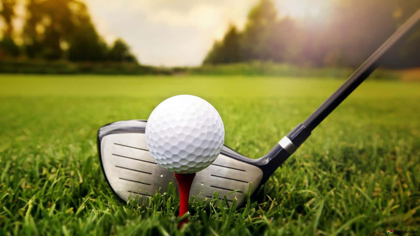 1366x768 Golf Course 桌布 壁紙 — 一個高爾夫球放在紅色球座上，旁邊有球桿，背景是陽光普照的綠色球道和模糊的樹木。