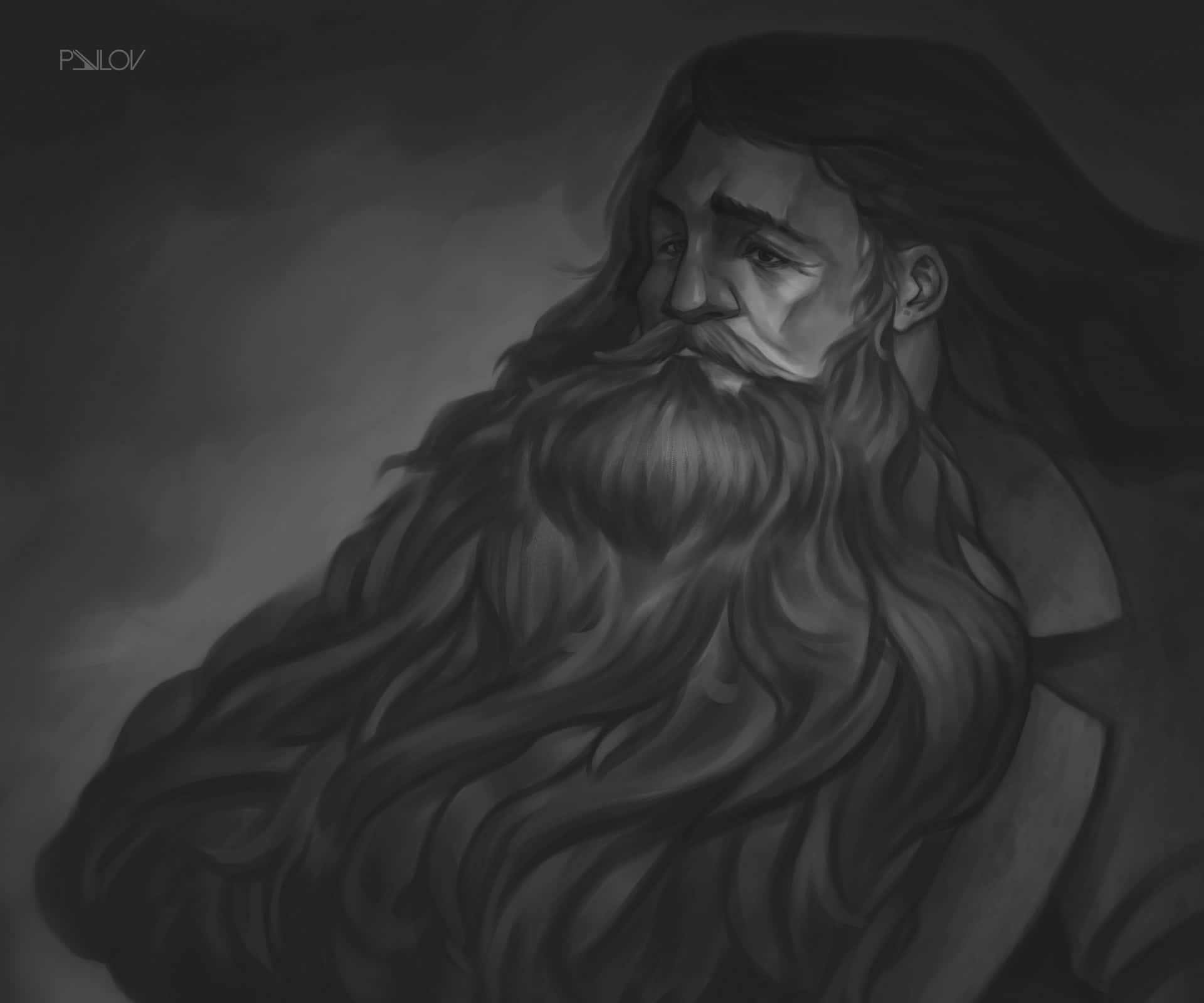 Harry Potter Black And White 桌布 壁紙 — 一個鬍鬚長髮男子在煙灰色背景前沉思凝視的單色數位肖像。