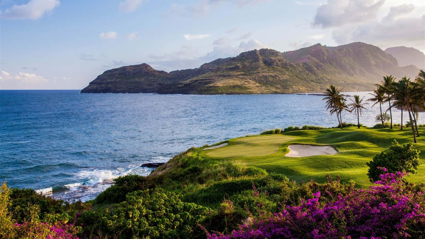 1366x768 Golf Course 桌布 壁紙 — 一個鬱鬱蔥蔥的綠色高爾夫球場擁抱著岩石海岸線，碧綠的海浪在鮮豔的紫色花朵和棕櫚樹下拍打。