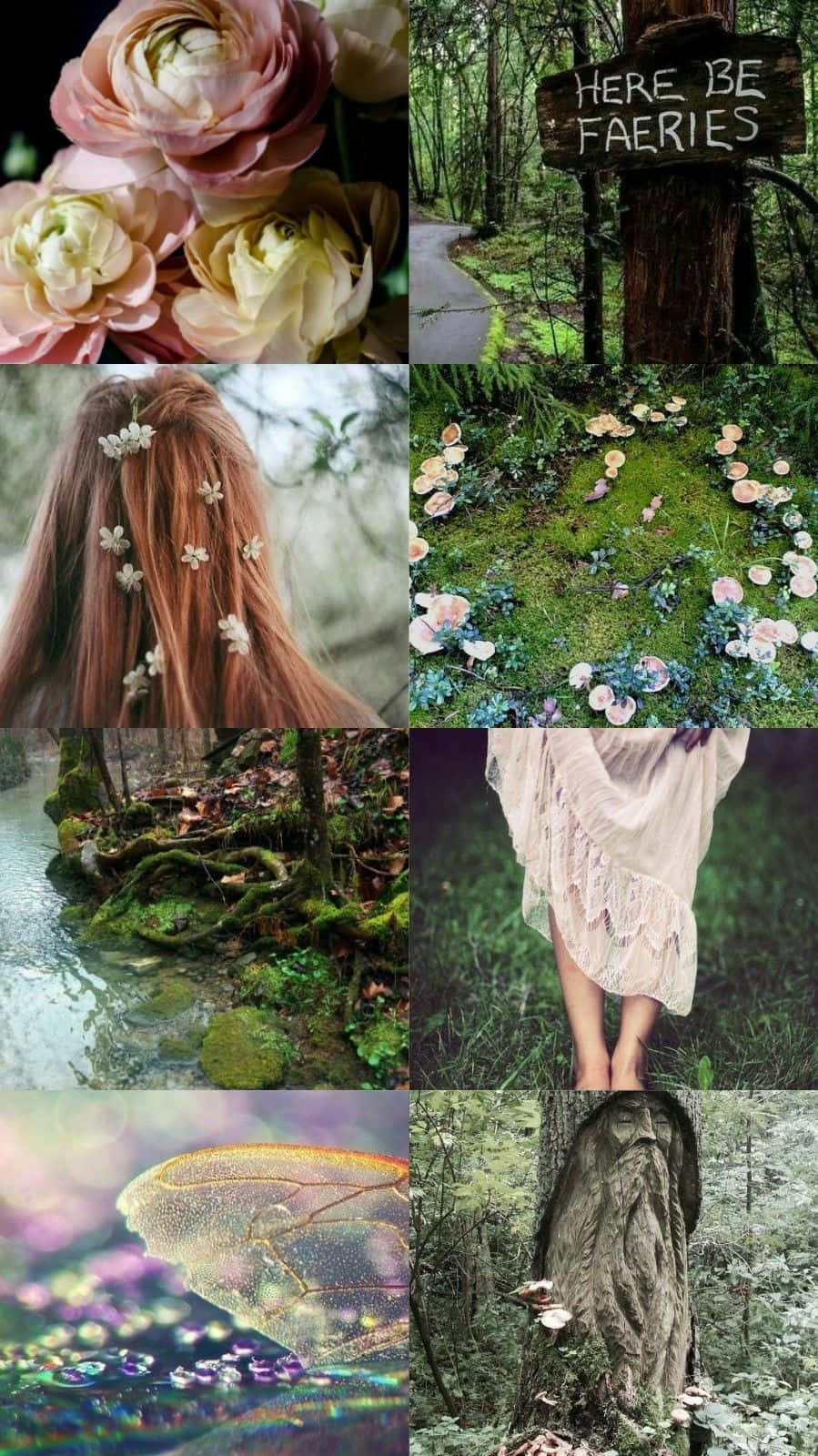 仙女美學 桌布 壁紙 — 一個魔法森林拼貼畫，包含粉紅花朵、苔蘚小徑、仙女標誌和一個穿著飄逸連衣裙的人，被大自然包圍。