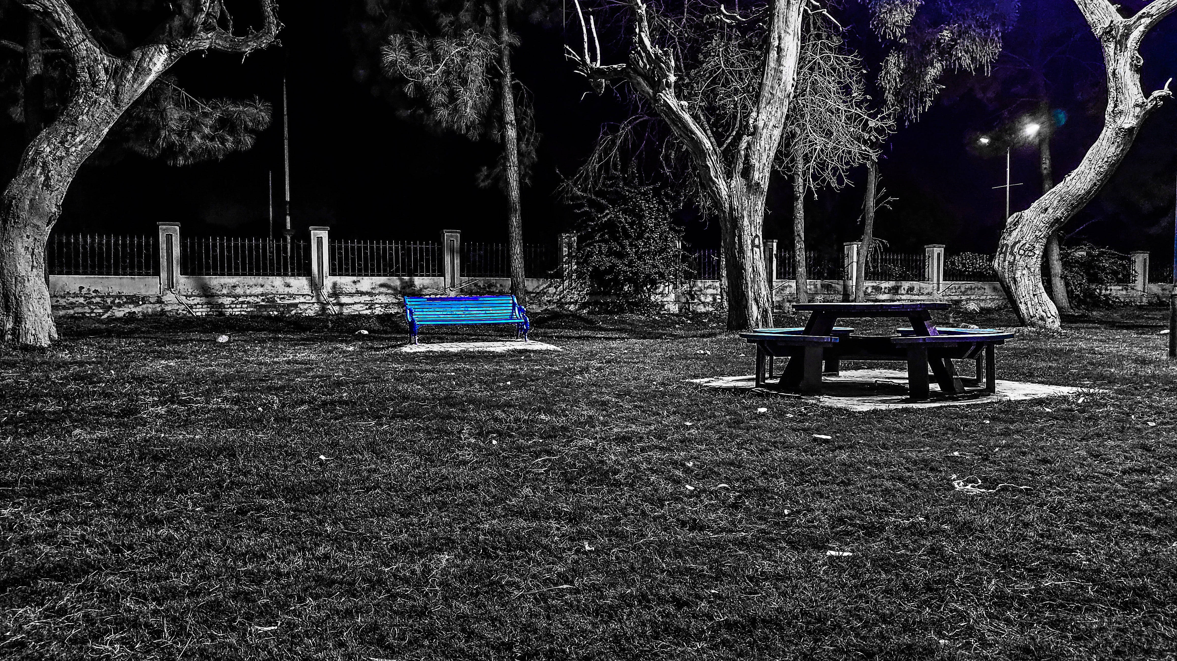 Social 桌布 壁紙 — 一個鮮明的夜間公園場景，一張鮮藍色的長椅和野餐桌在街燈下發光，背景是單色的樹木和草地。