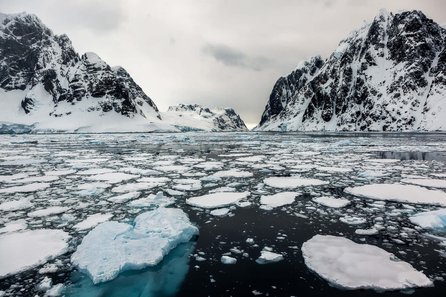 Antarctica 桌布 壁紙 — 一個鮮明的極地景觀，鋸齒狀的雪山框住一條黑暗的水道，水道上有浮冰點綴，天空多雲。