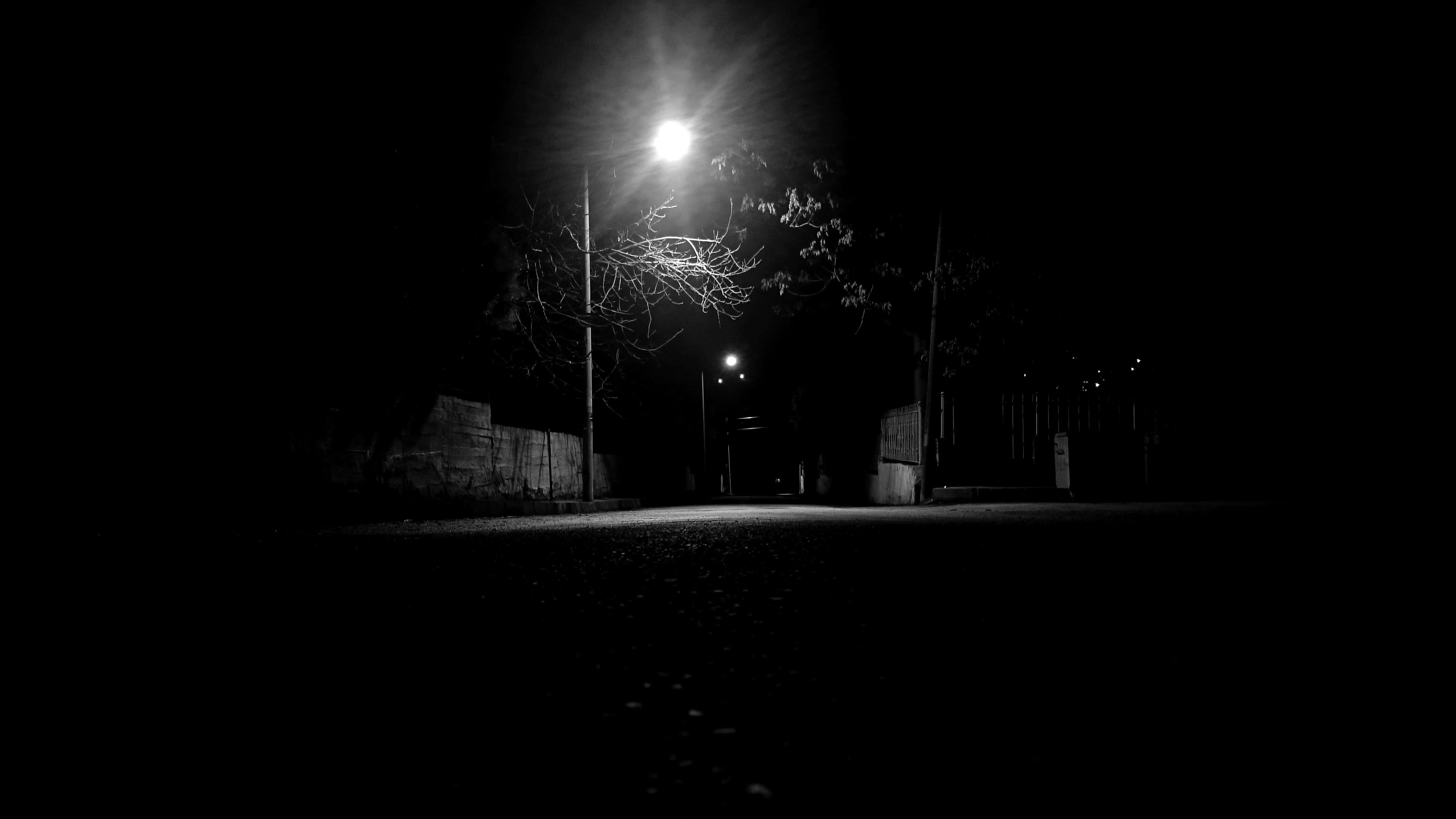 Street Light 桌布 壁紙 — 一個鮮明的黑白夜景，單一街燈在荒蕪的道路上投下強烈的光線，道路兩旁有圍欄和光禿禿的樹木。