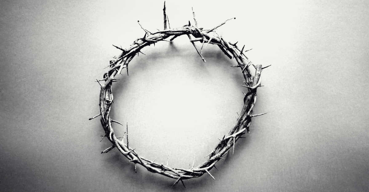 Jesus Crown Of Thorns 桌布 壁紙 — 一個鮮明的黑白荊棘冠冕放在樸素的紋理表面上，投下柔和的陰影。