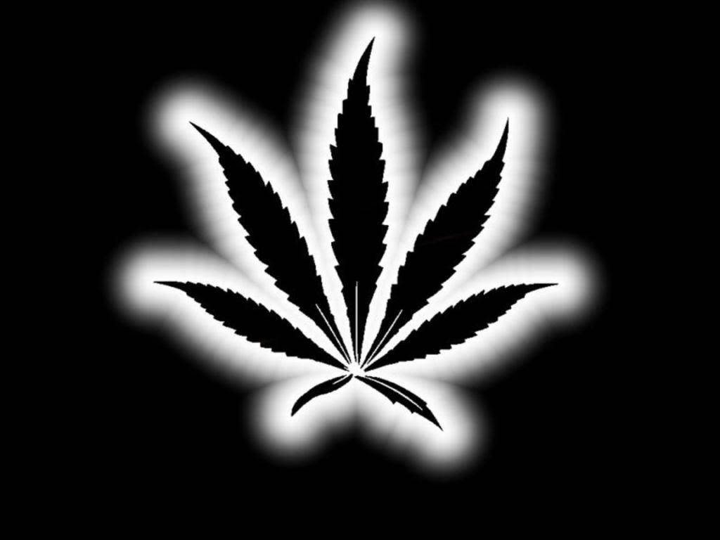 黑白 桌布 壁紙 — 一個鮮明的黑色大麻葉剪影在純黑色背景上發出柔和的白光。