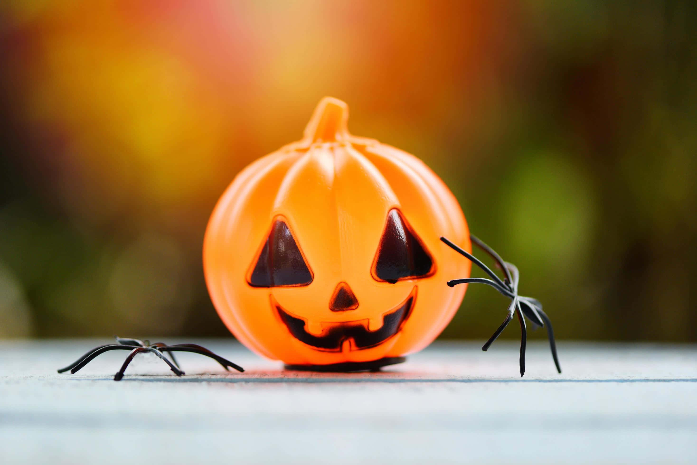 Halloween Props 桌布 壁紙 — 一個鮮橙色塑膠南瓜燈籠，雕刻著咧嘴笑容，放在木質表面上，兩側有兩隻黑色塑膠蜘蛛，背景溫暖模糊。