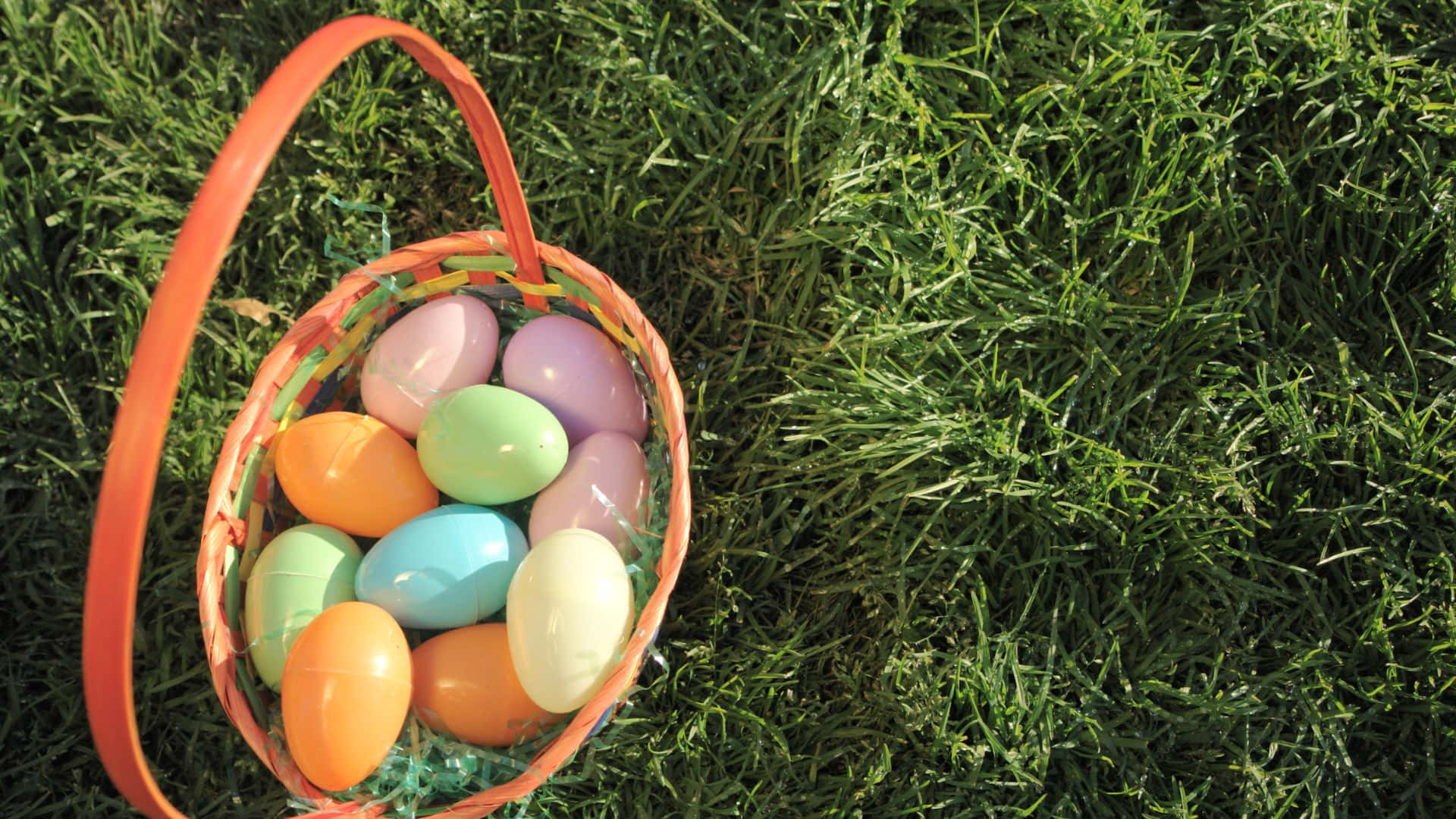 Easter Basket 桌布 壁紙 — 一個鮮橙色籃子裝滿色彩繽紛的塑膠復活蛋，放在陽光下鮮綠的草地上。