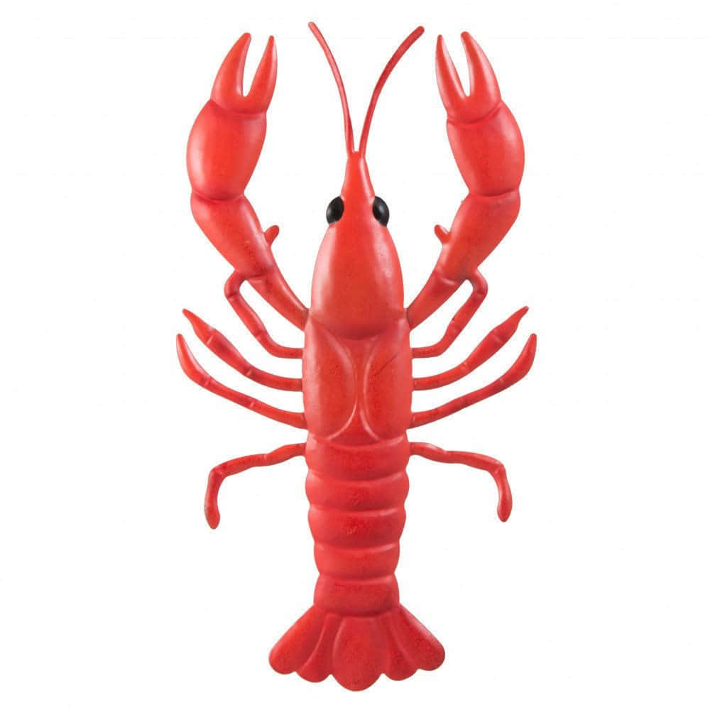 Crawfish 桌布 壁紙 — 一個鮮紅色塑膠龍蝦玩具，有黑色眼睛和舉起的鉗子，站在純白色背景前。