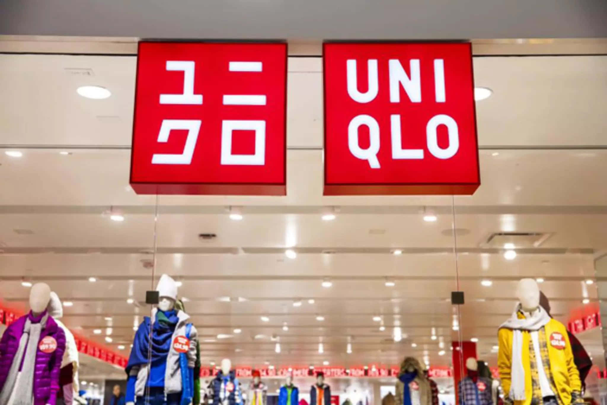 Uniqlo 桌布 壁紙 — 一個鮮紅色的 Uniqlo 商店招牌懸掛在穿著色彩繽紛冬季外套的人體模型上方，位於光線充足的零售空間內。