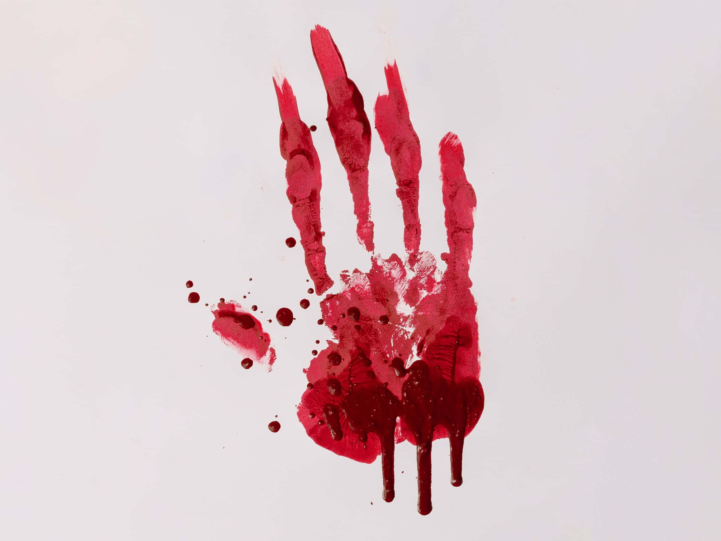 Blood 桌布 壁紙 — 一個鮮紅色的手印，帶有滴落的油漆和飛濺，在純白色背景上。