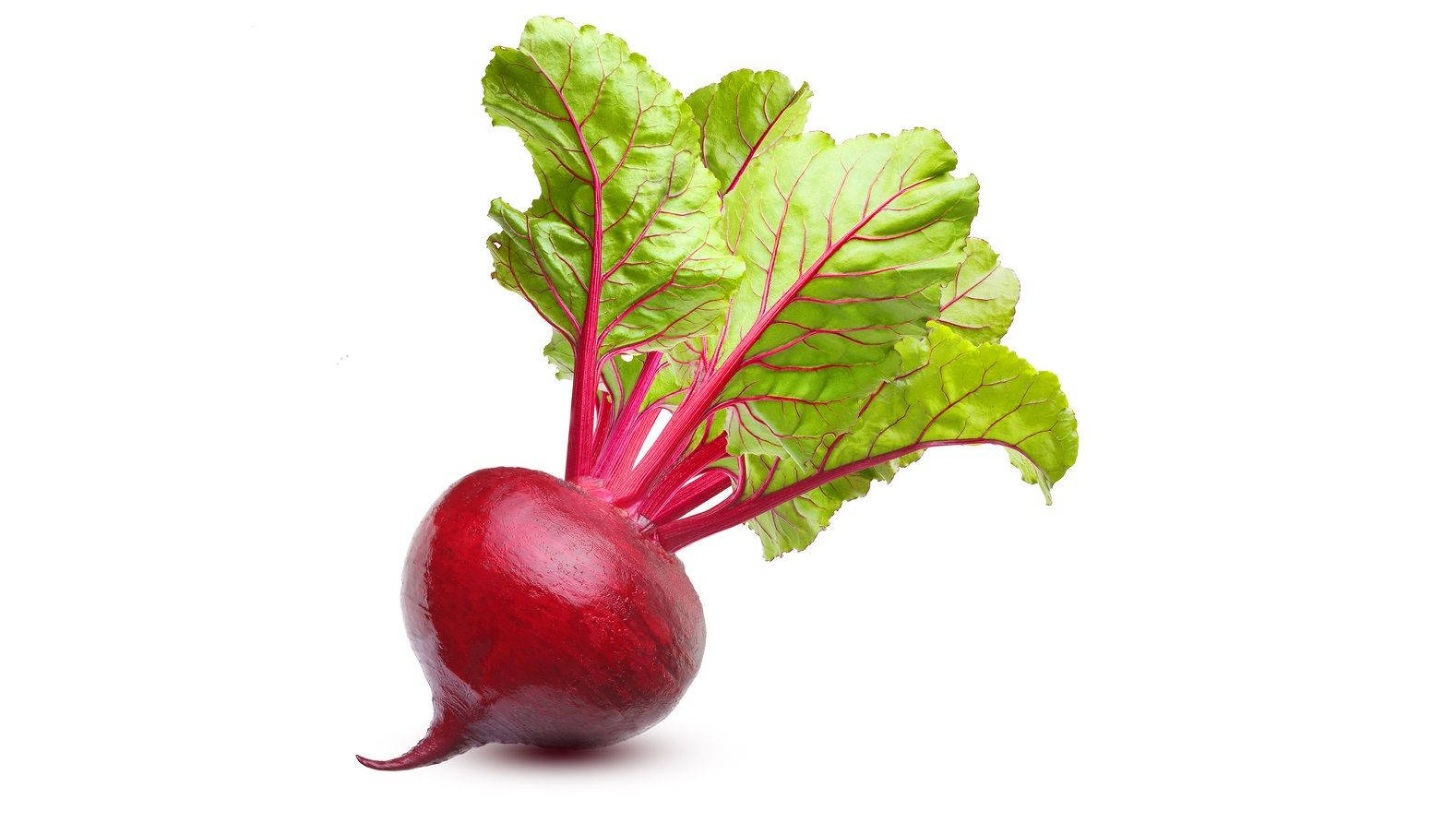 beetroot 桌布 壁紙 — 一個鮮紅色的甜菜，帶有茂盛的綠葉和紅色葉脈，孤立地立在純白色背景上。