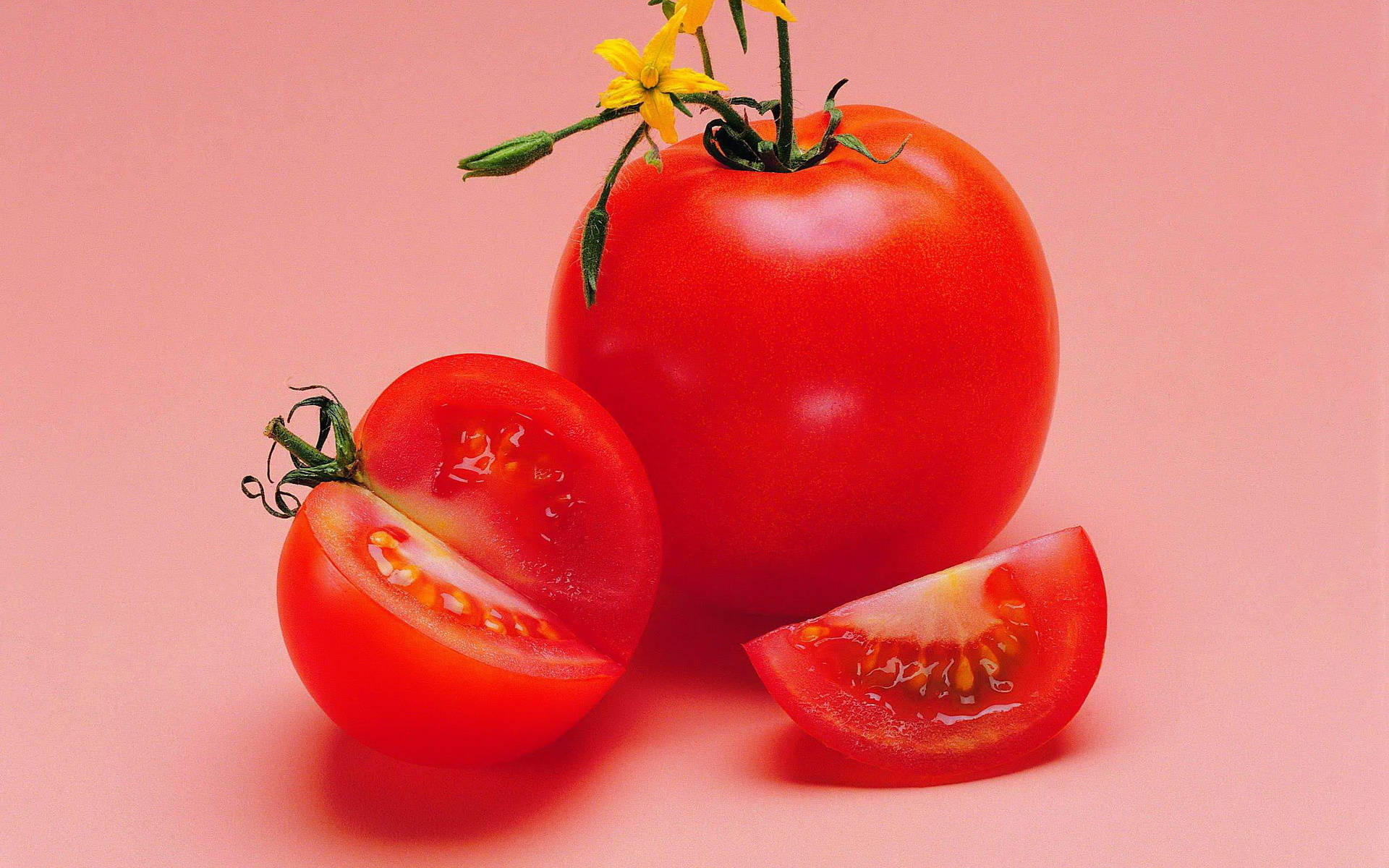 Fruits 桌布 壁紙 — 一個鮮紅色的番茄完整和切片，配上一朵黃花，背景為粉紅色。