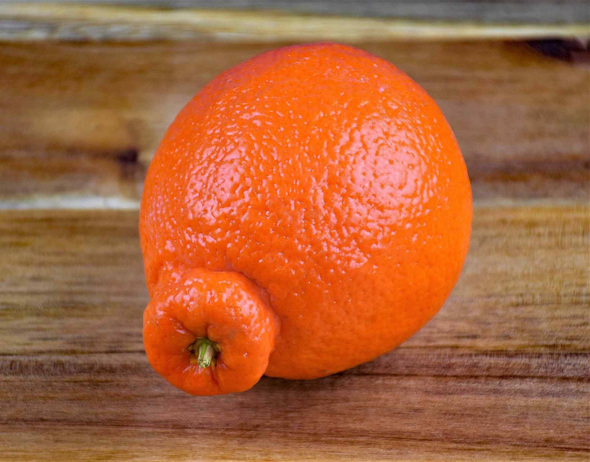Fruits 桌布 壁紙 — 一個鮮豔的柳橙，帶有紋理的果皮，放在質樸的木質表面上。