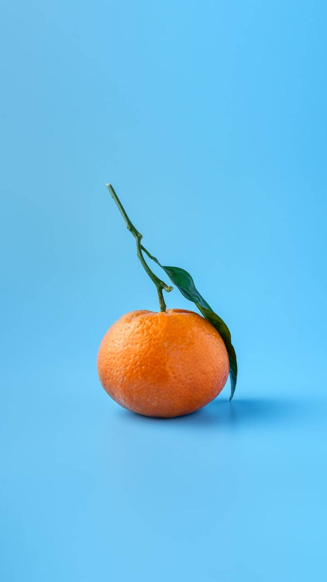 Orange Fruit 桌布 壁紙 — 一個鮮豔的柳橙，帶有綠色莖和葉子，放置在純藍色背景上。