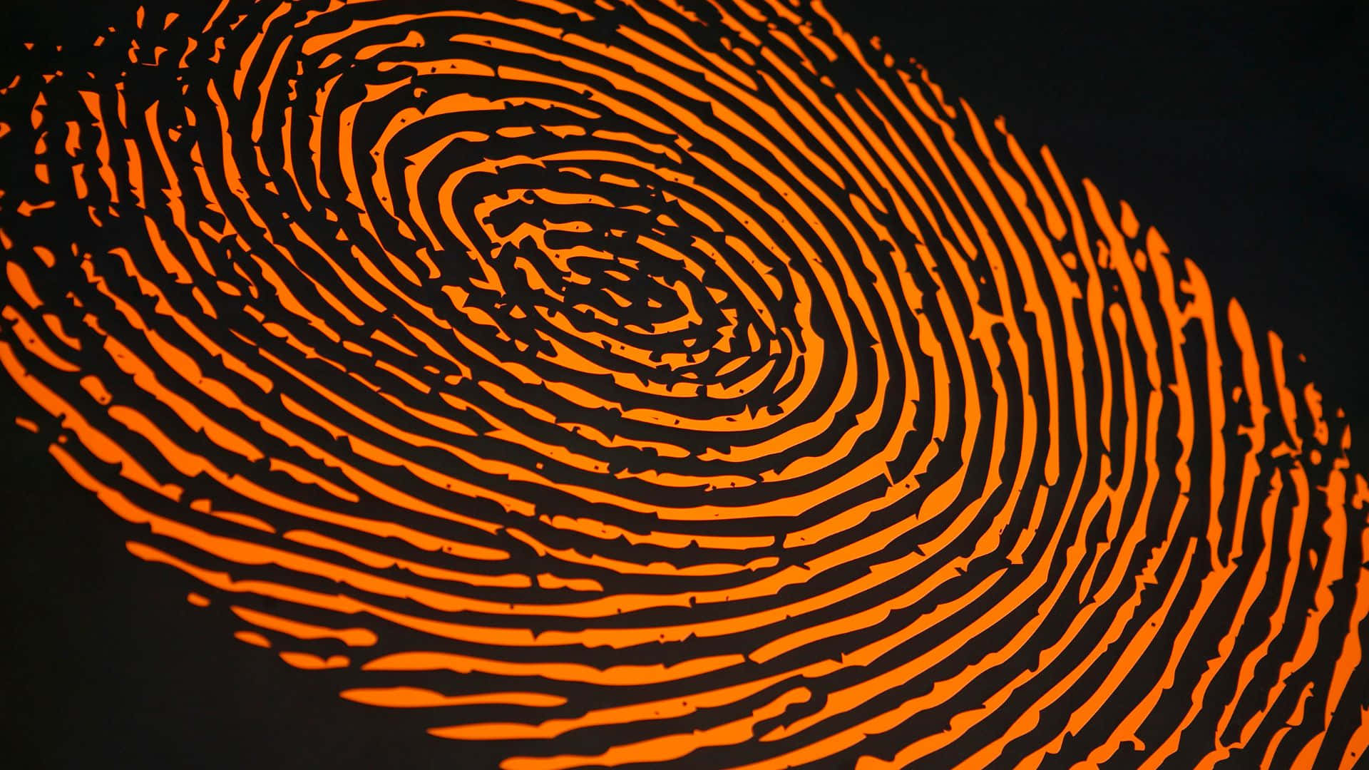 Fingerprint 桌布 壁紙 — 一個鮮豔的橙色指紋在純黑色背景上以高對比度特寫旋轉。