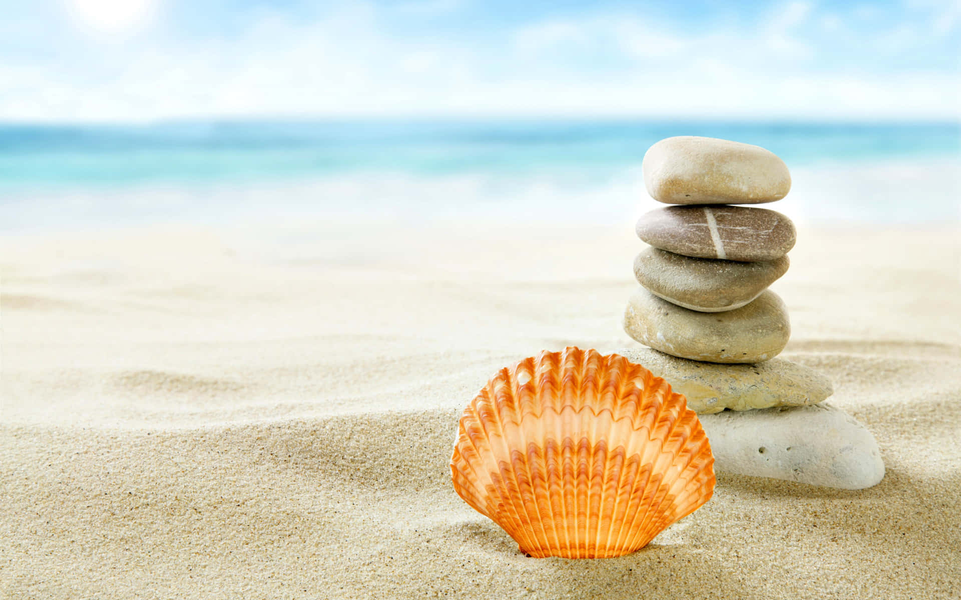 Seashell 桌布 壁紙 — 一個鮮豔的橙色貝殼放在陽光普照的沙灘上，旁邊是一堆平衡光滑的石頭，背景是藍綠色的海洋和天空，呈現柔和焦點。