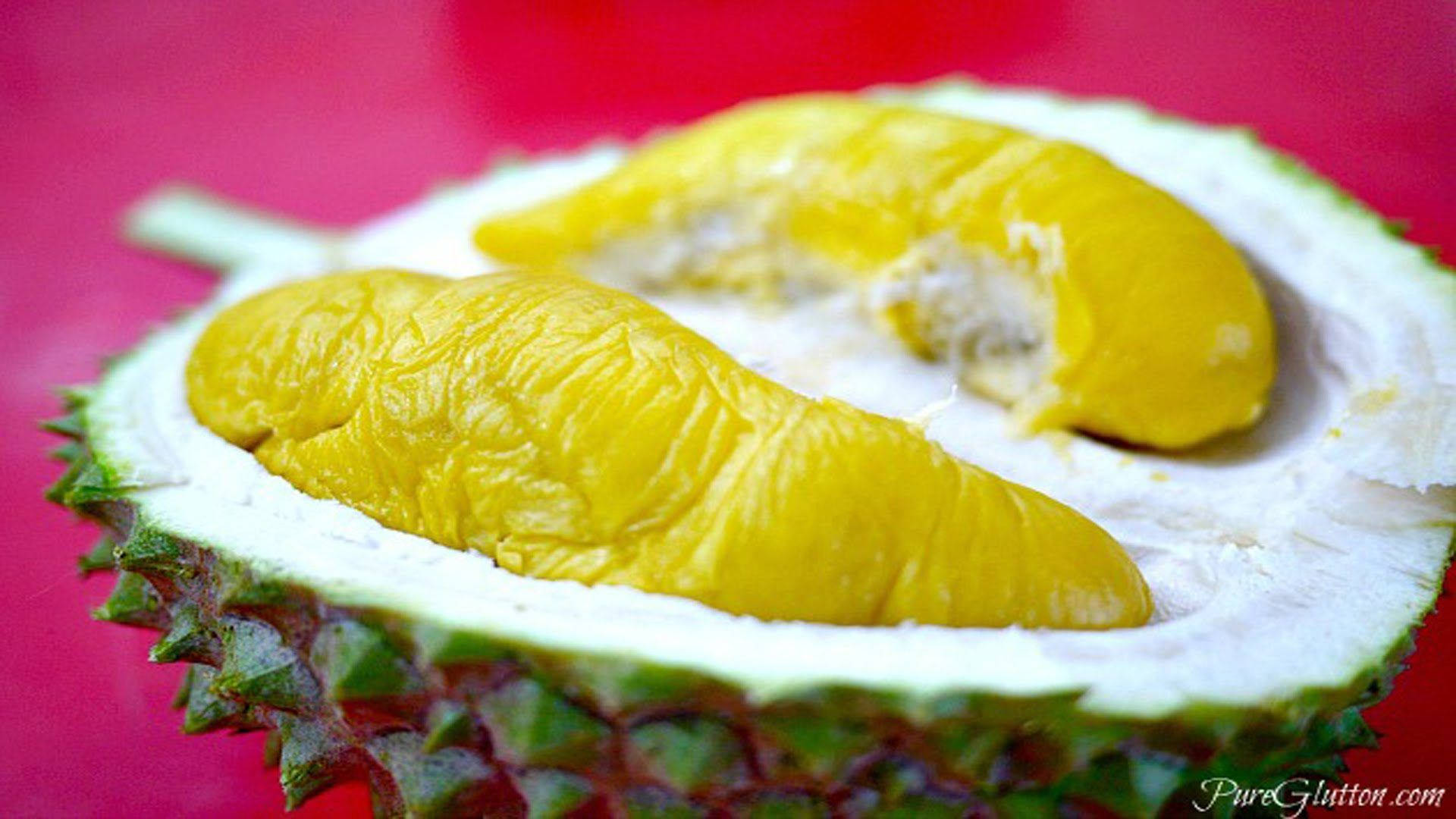 Fruit 桌布 壁紙 — 一個鮮黃色的榴槤切開，露出奶油狀的果肉，背景是鮮紅色。