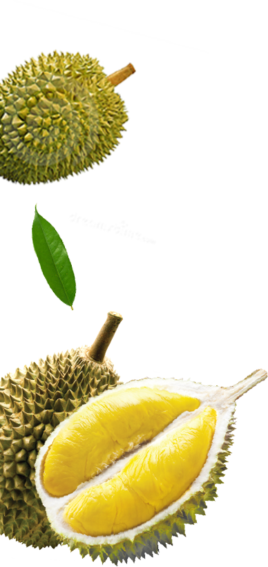 Durian 桌布 壁紙 — 一個鮮黃色的榴槤果實切開，露出奶油狀的果肉，旁邊是帶刺的綠色外殼和一片葉子。