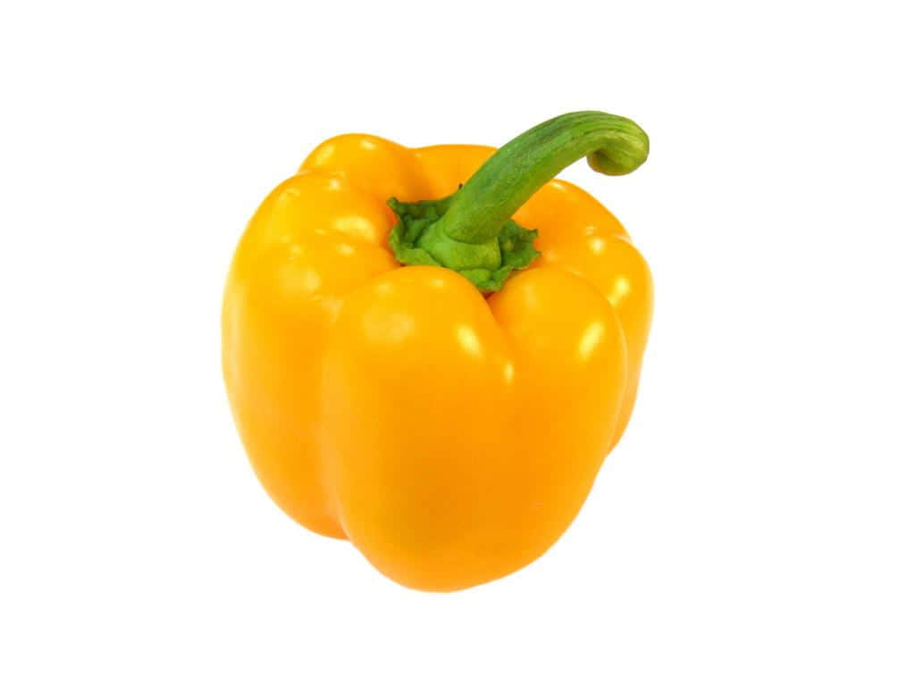 Yellow Bell Pepper 桌布 壁紙 — 一個鮮黃色的甜椒，帶有彎曲的綠色莖，孤立在純白色背景上。
