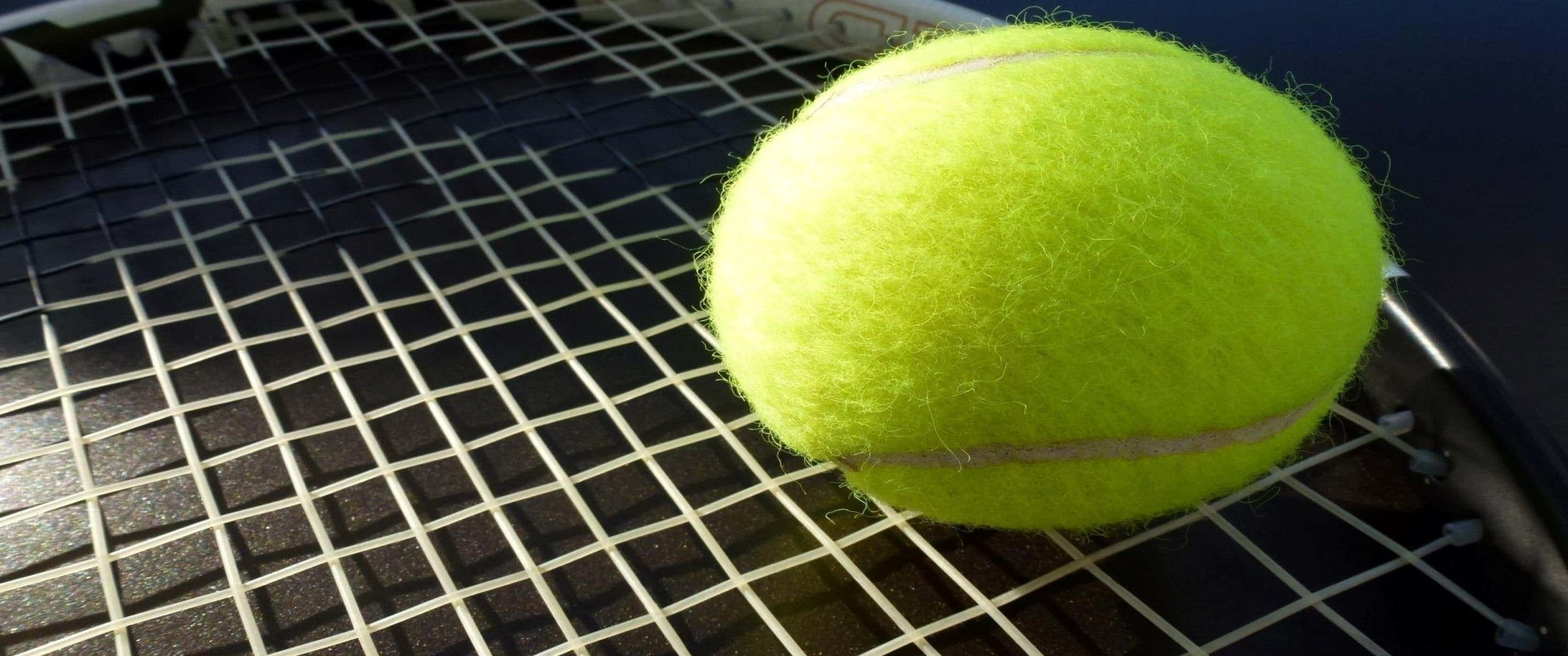 3440x1440p Tennis 桌布 壁紙 — 一個鮮黃色的網球在陽光直射下，放在網球拍的黑色和白色線床上。