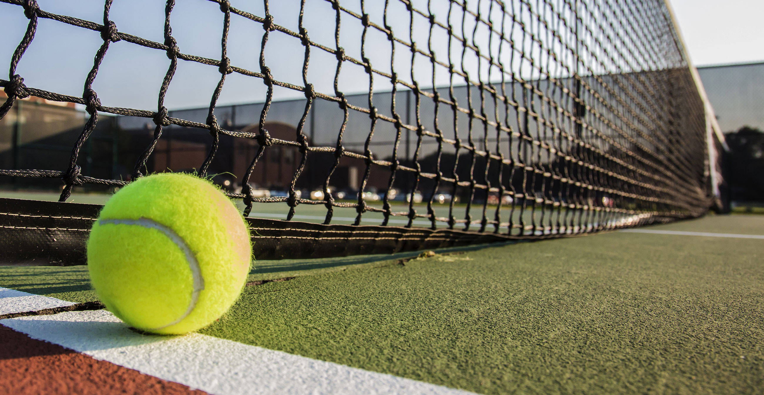 Tennis 桌布 壁紙 — 一個鮮黃色的網球放在綠色球場邊緣的白線上，前景有一個黑色的網。