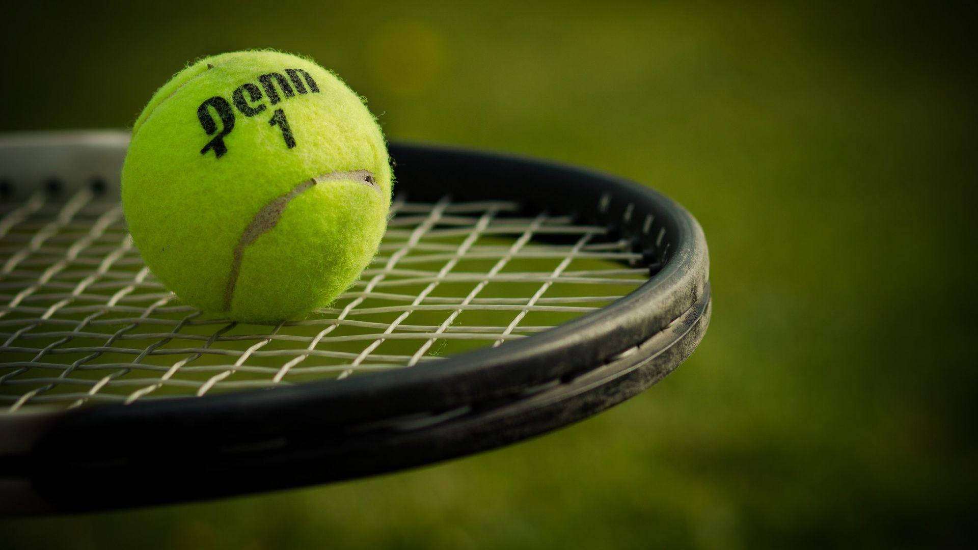 Tennis 桌布 壁紙 — 一個鮮黃色的網球放在黑色球拍的網線上，背景是模糊的綠色草地。