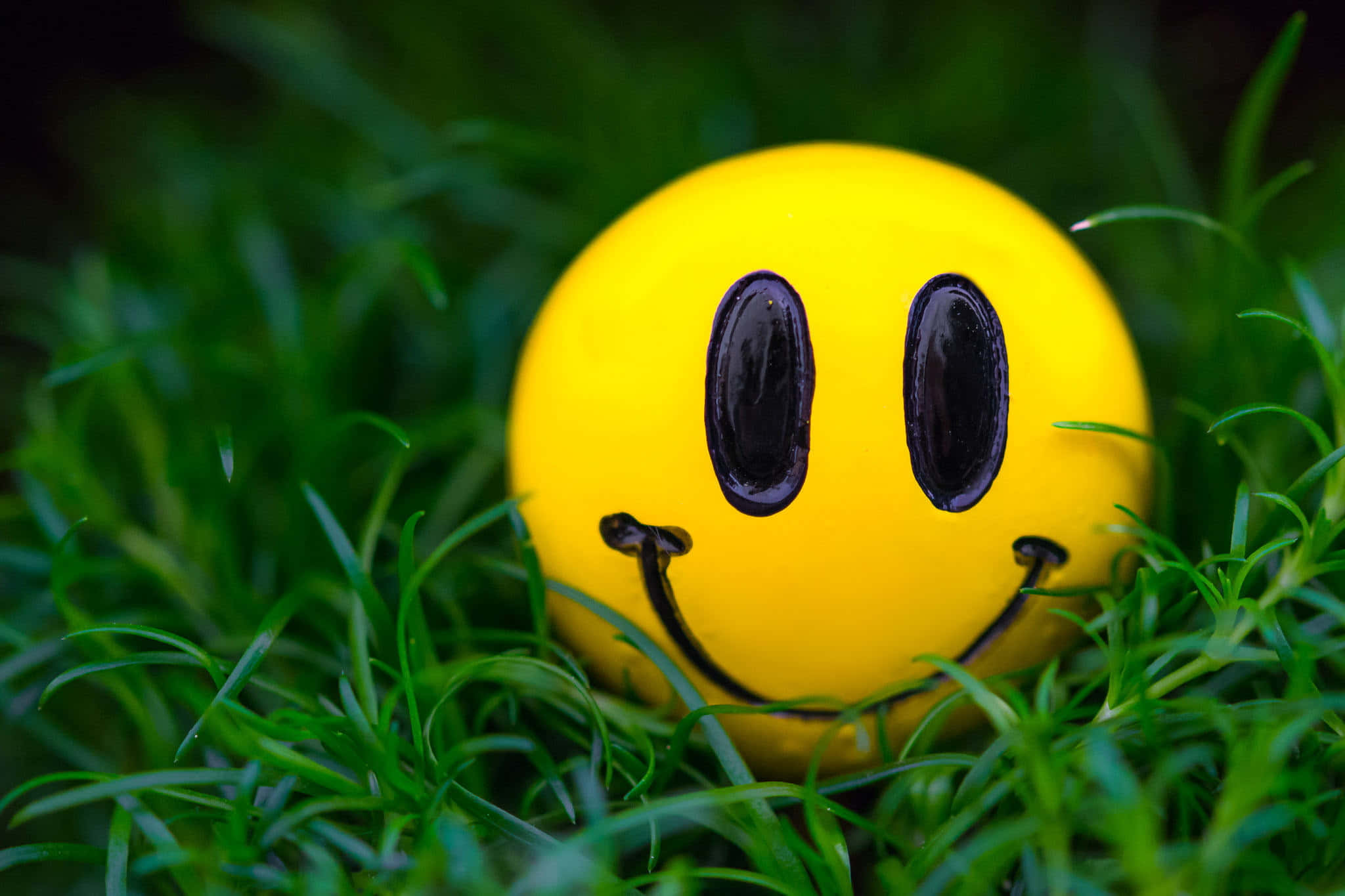 笑臉 桌布 壁紙 — 一個鮮黃色笑臉球，嵌在充滿活力的綠草中，景深較淺。