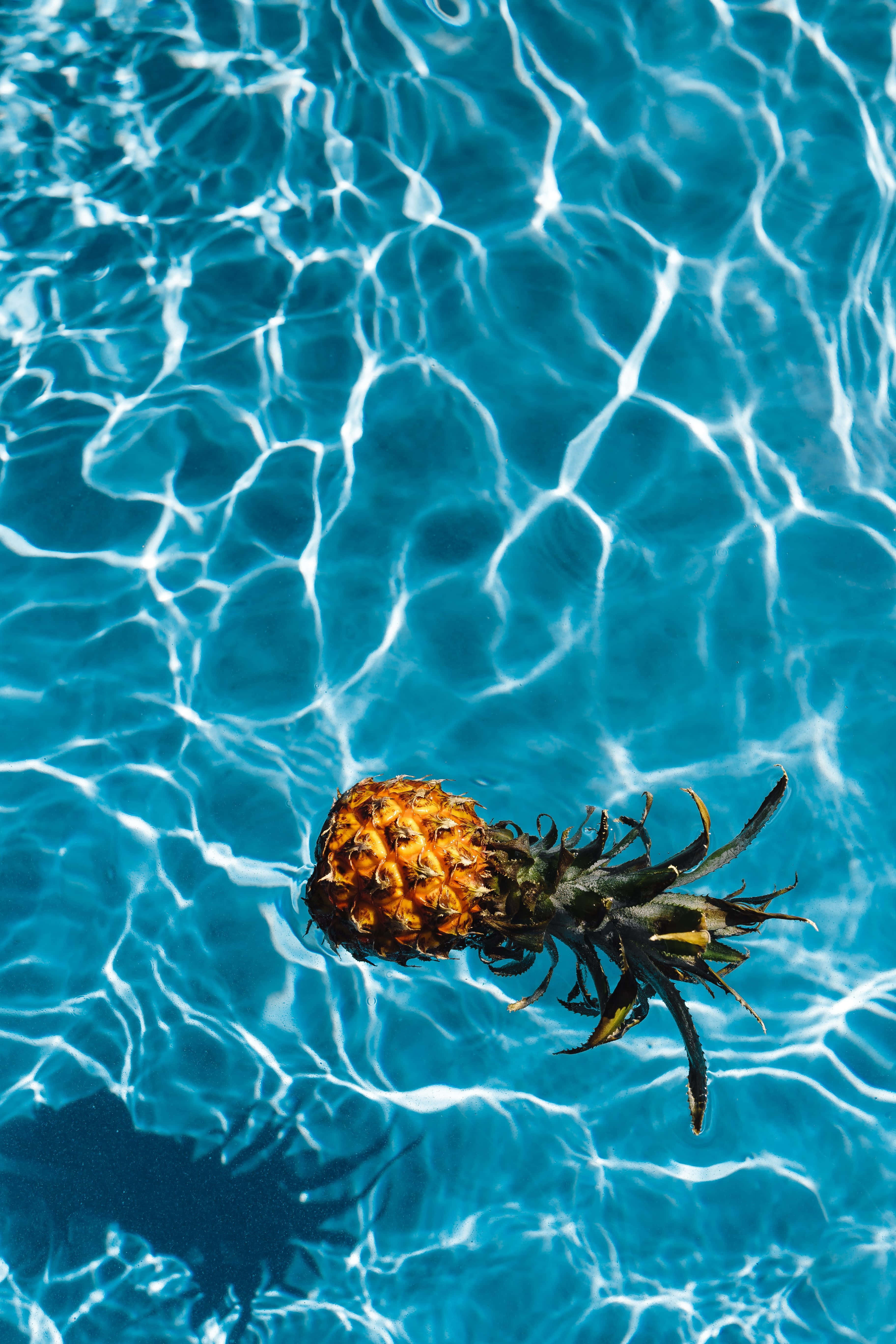 Pineapple 桌布 壁紙 — 一個鳳梨在充滿活力的藍色泳池水中寧靜地漂浮，漣漪般的陽光圖案在水面上舞動。