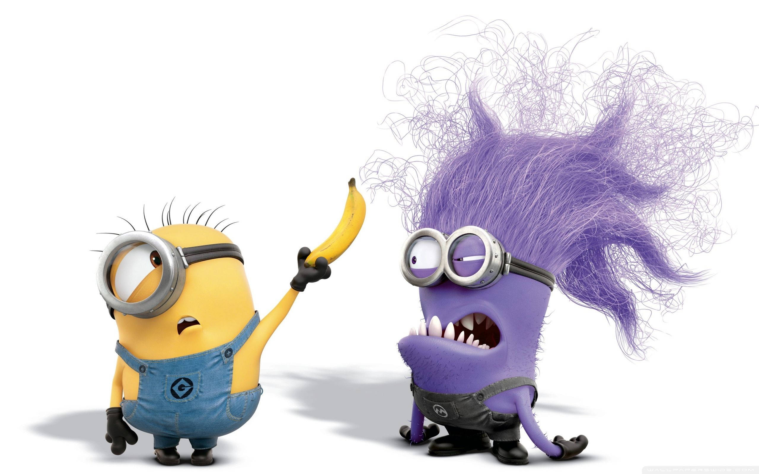 小小兵 桌布 壁紙 — 一個黃色Minion拿著香蕉，而一個紫色頭髮的Minion頭髮凌亂，在白色背景上戲劇性地反應。