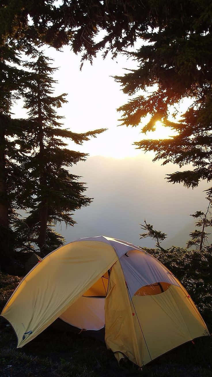 Minimalist Camping 桌布 壁紙 — 一個黃色帳篷在日出時溫暖地發光，被深色松樹框住，俯瞰霧氣瀰漫的山谷。