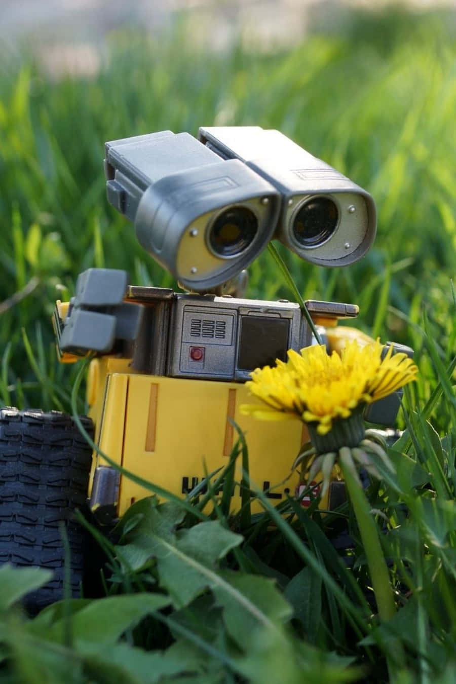 Wall E 桌布 壁紙 — 一個黃色機器人玩具，有大眼睛，坐在綠色草地上，旁邊有一朵鮮黃色的蒲公英。