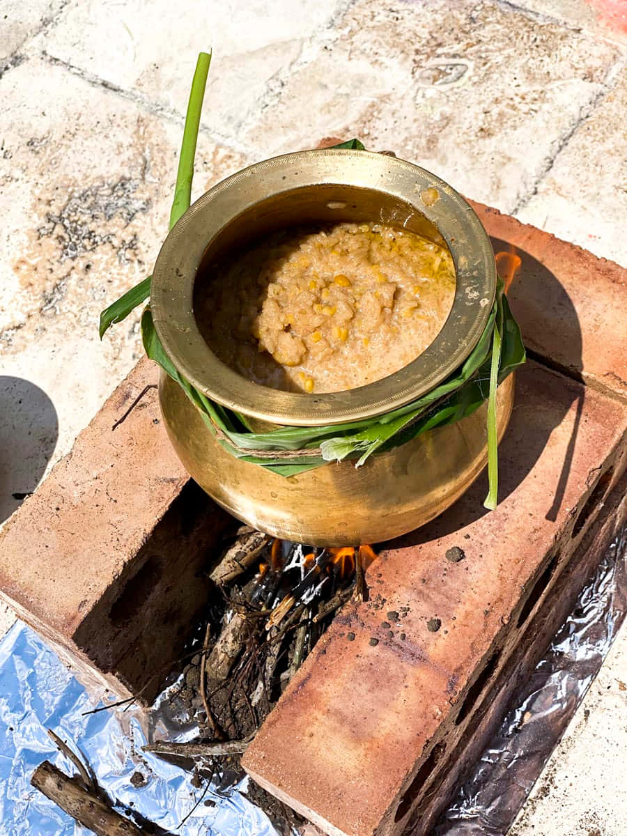Pongal 桌布 壁紙 — 一個黃銅鍋裝滿了正在慢煮的黃扁豆咖哩，擱在石頭露台上的磚塊上，下面是用木柴生的明火。