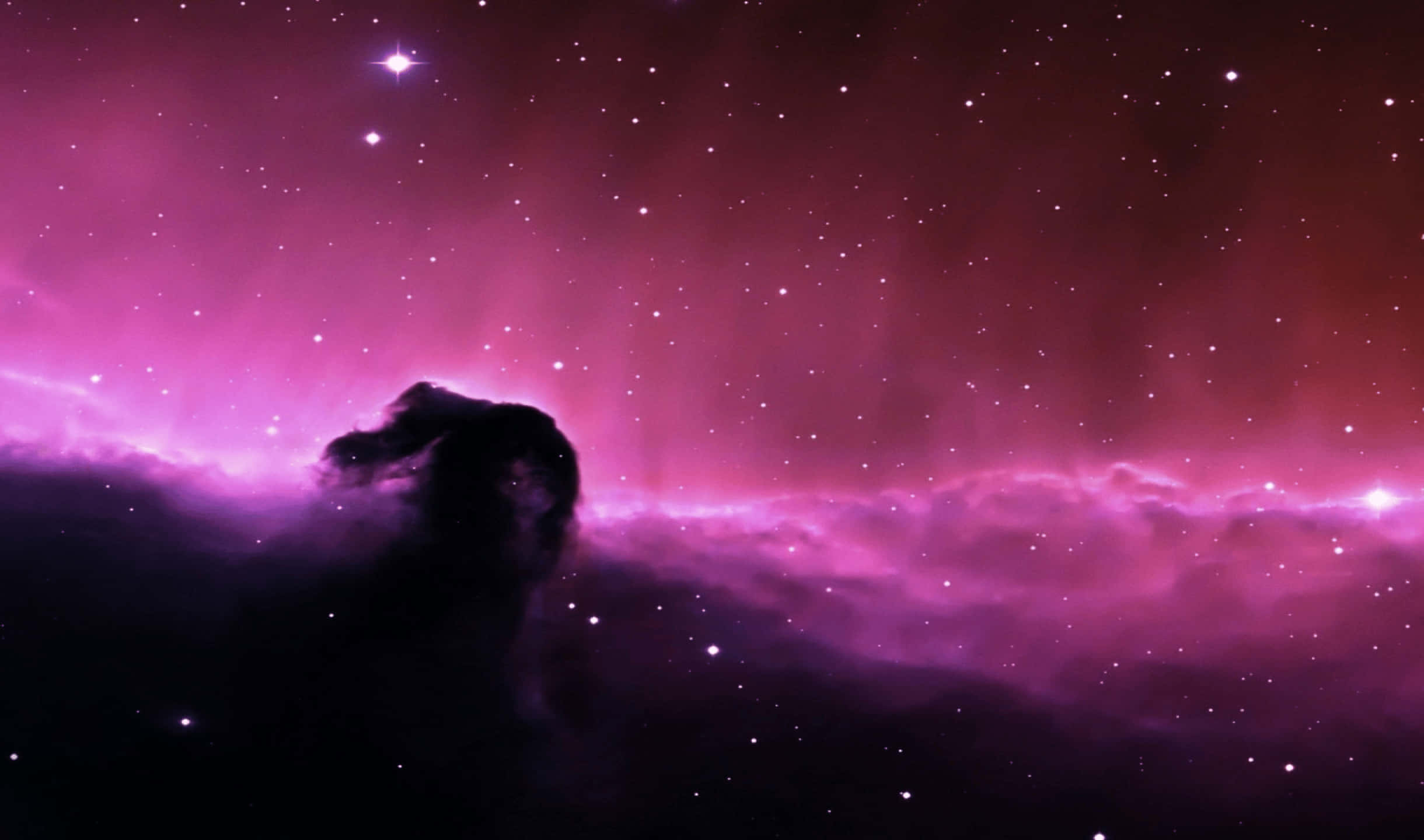 2440x1440 Monitor 桌布 壁紙 — 一個黑暗星雲的宇宙剪影，映襯著充滿活力的紫色和粉紅色星場，並有發光的宇宙塵埃。