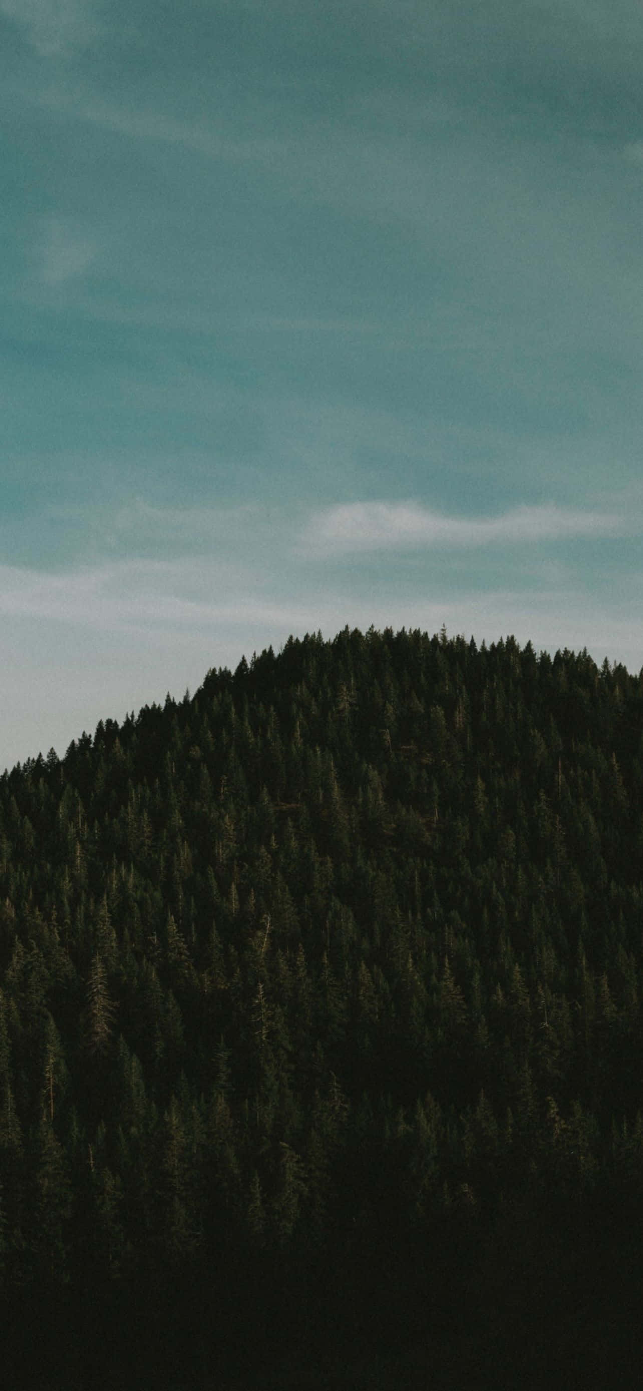 Mountain iPhone 桌布 壁紙 — 一個黑暗的森林山峰在柔和青綠色的天空下升起，伴隨著縷縷薄雲。