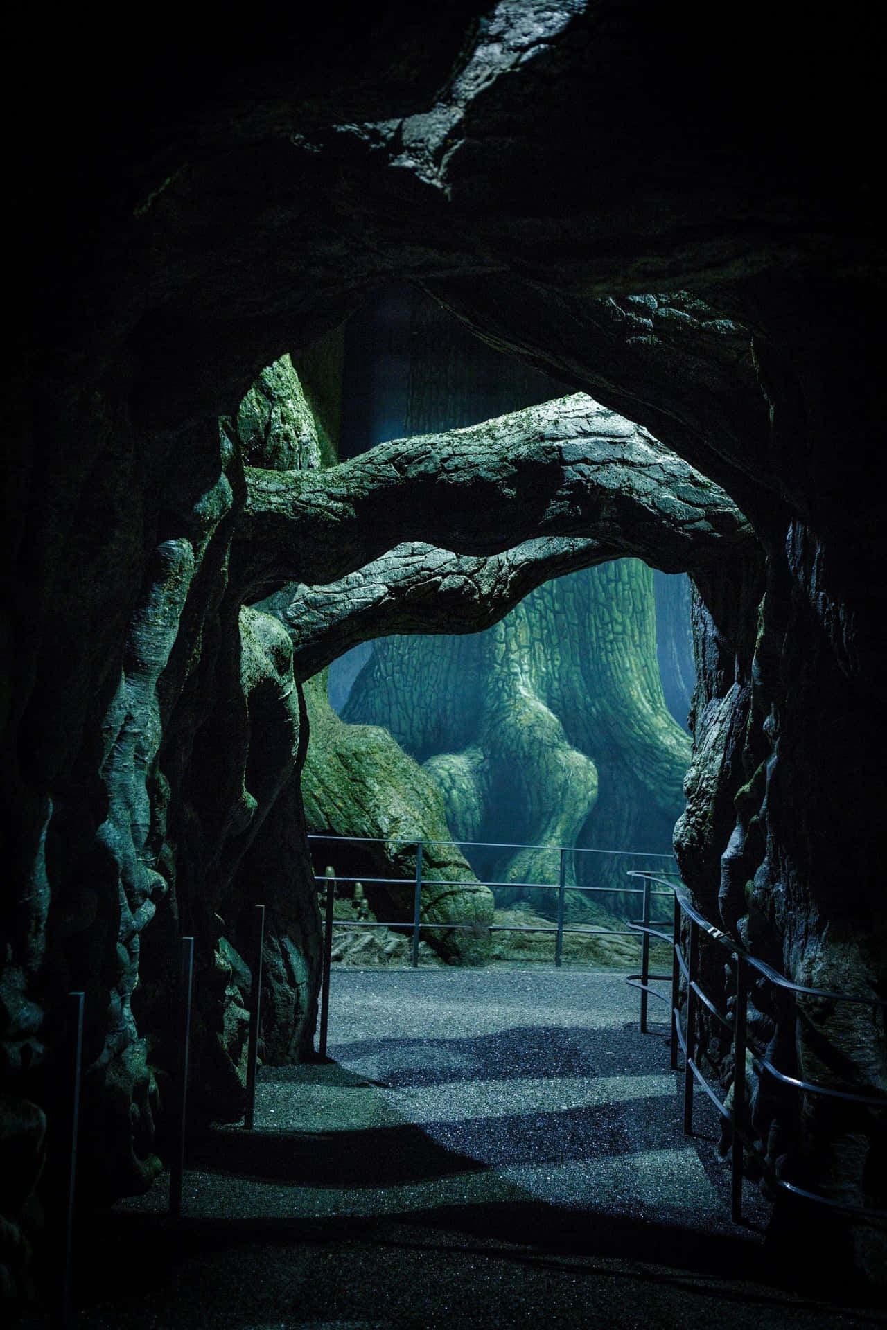 The Forbidden Forest 桌布 壁紙 — 一個黑暗的洞穴隧道，由巨大扭曲的樹根框住，通往遠處發光的綠色森林。