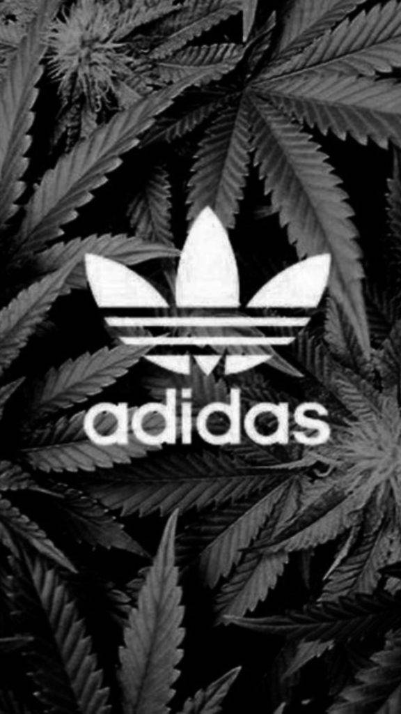 adidas iPhone 桌布 壁紙 — 一個黑白Adidas標誌居中於密集的大麻葉背景上。
