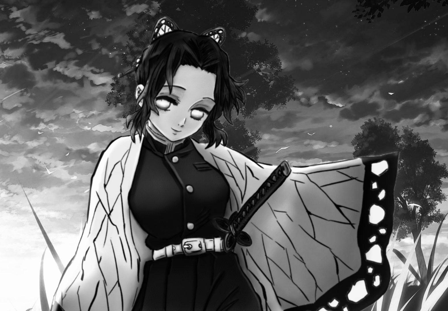 鬼滅之刃 桌布 壁紙 — 一個黑白動漫女孩，有貓耳和蝴蝶翅膀的和服，站在多雲天空下的草地上。