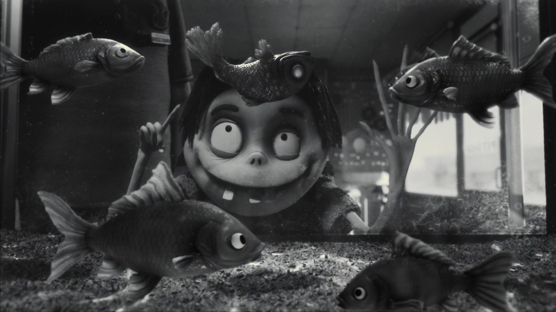 Frankenweenie 桌布 壁紙 — 一個黑白動畫小孩頭頂有魚，透過魚缸玻璃凝視，周圍有游動的金魚。