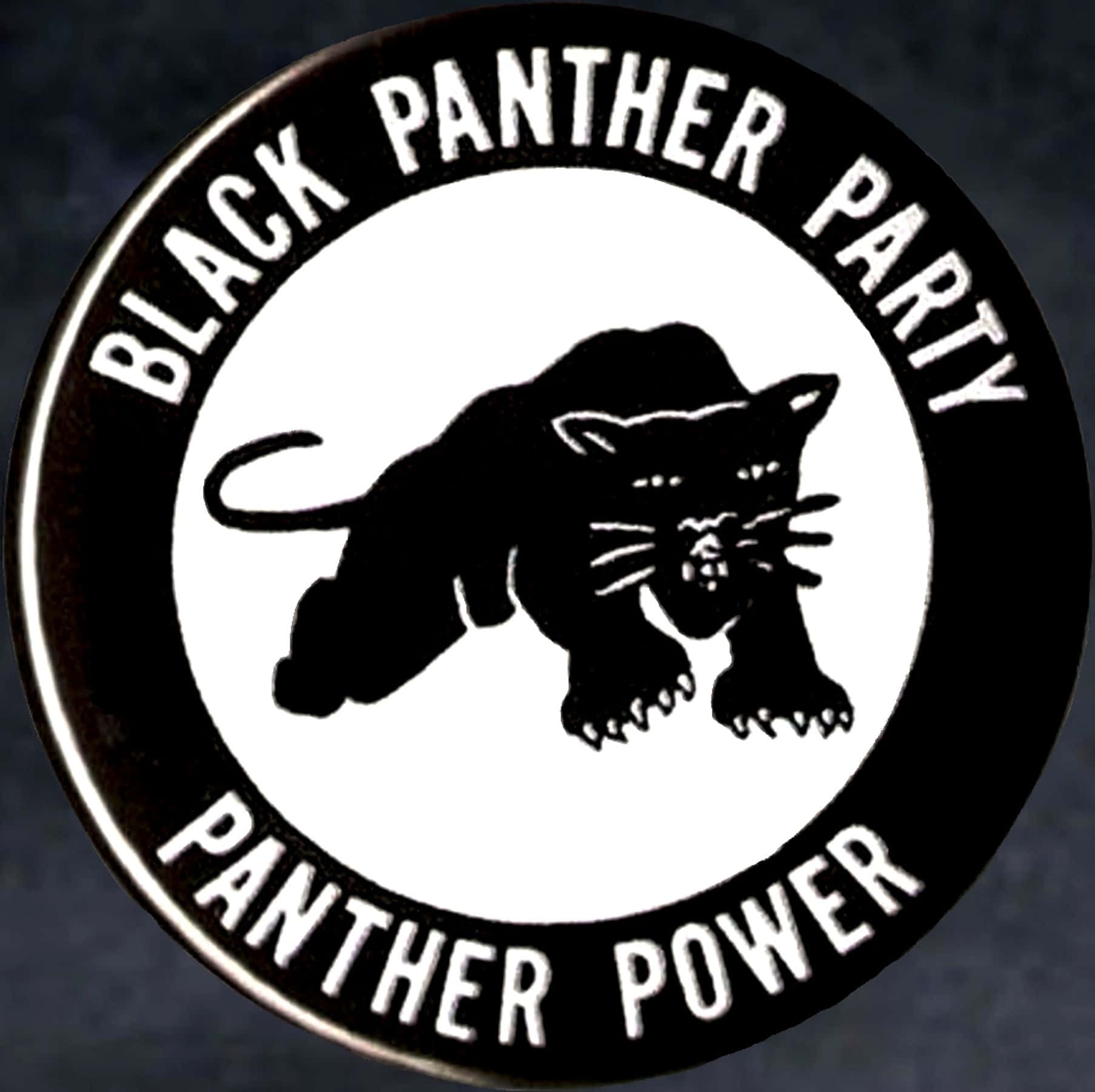 Black Panther Party 桌布 壁紙 — 一個黑白圓形徽章的近距離特寫，上面有黑色美洲豹剪影，邊緣環繞著「BLACK PANTHER PARTY」和「PANTHER POWER」文字。