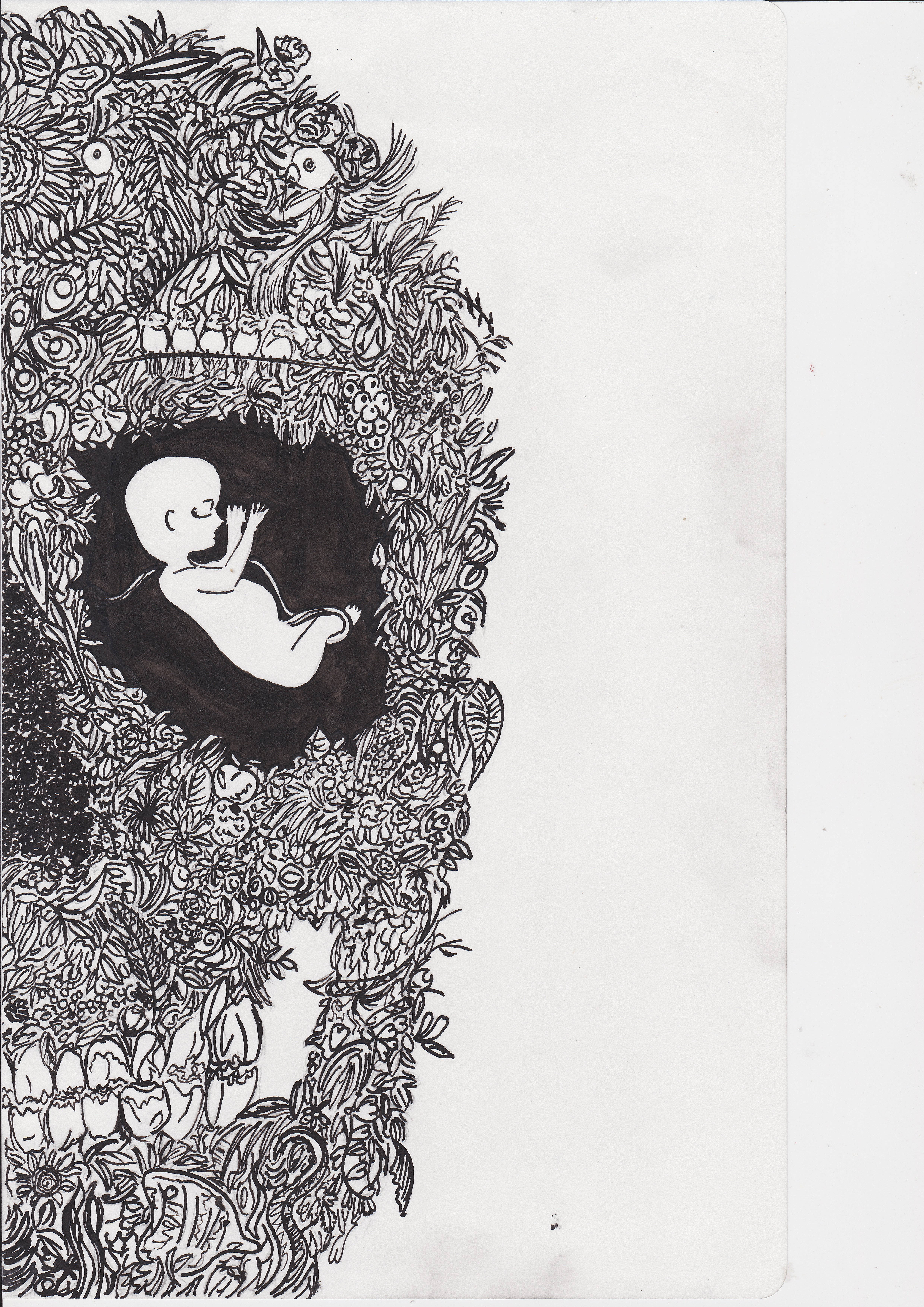 Life And Death 桌布 壁紙 — 一個黑白插圖，描繪一個胎兒蜷縮在一個充滿複雜花卉和動物圖案的頭骨內。